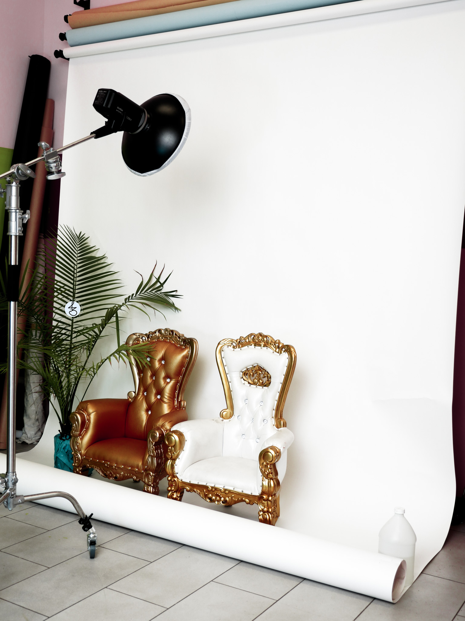 Luxury Throne Chair For Adult