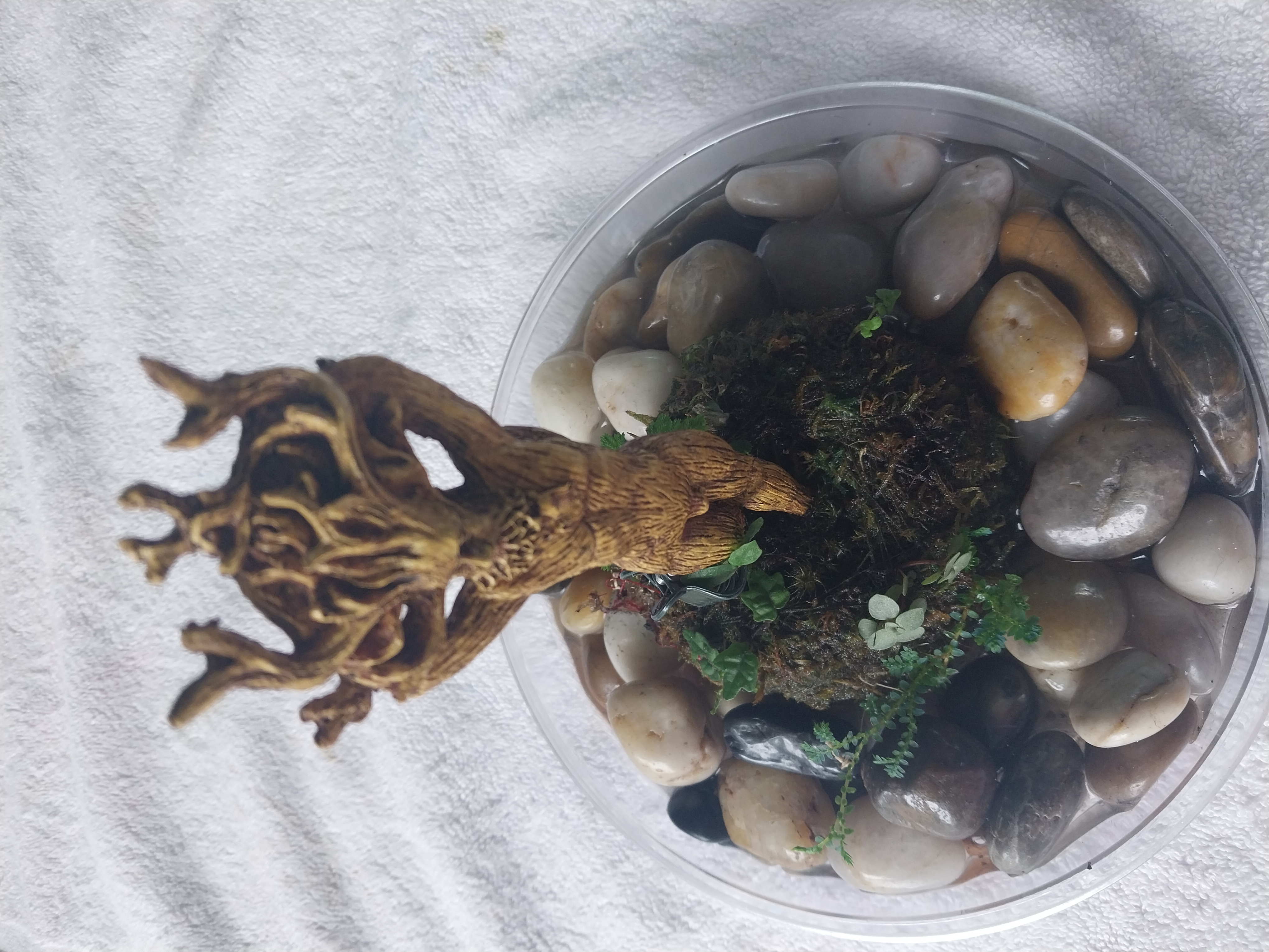 Tree Spirit Wabi-Kusa (male)