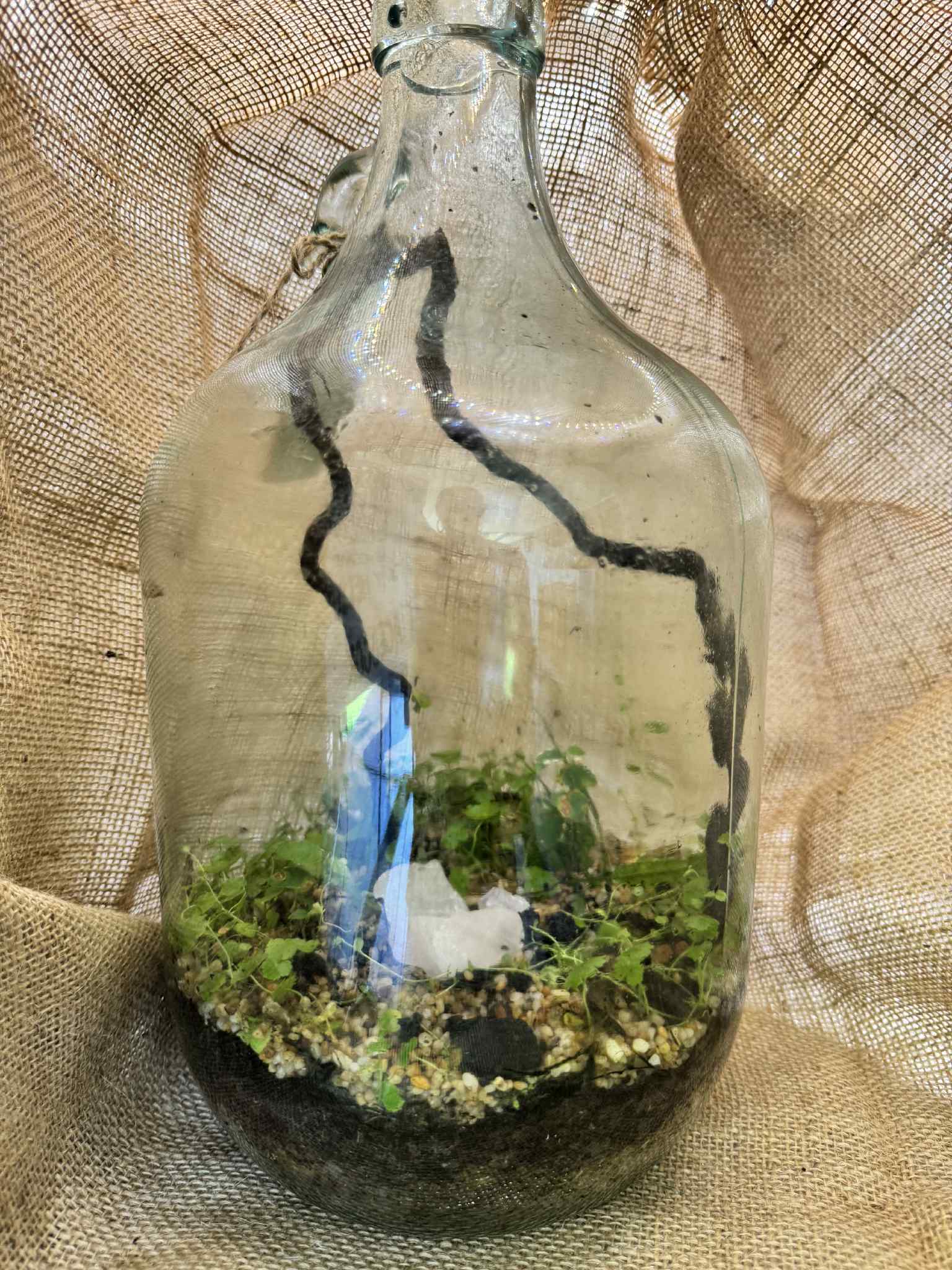 Extra large bottle Terrarium with semi precious stones