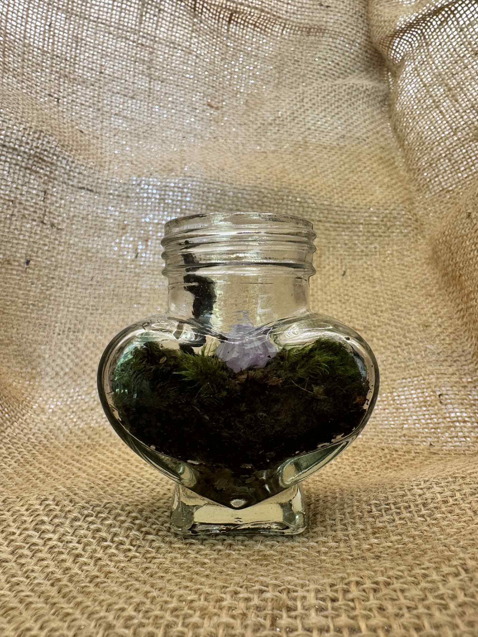 Micro Terrariums