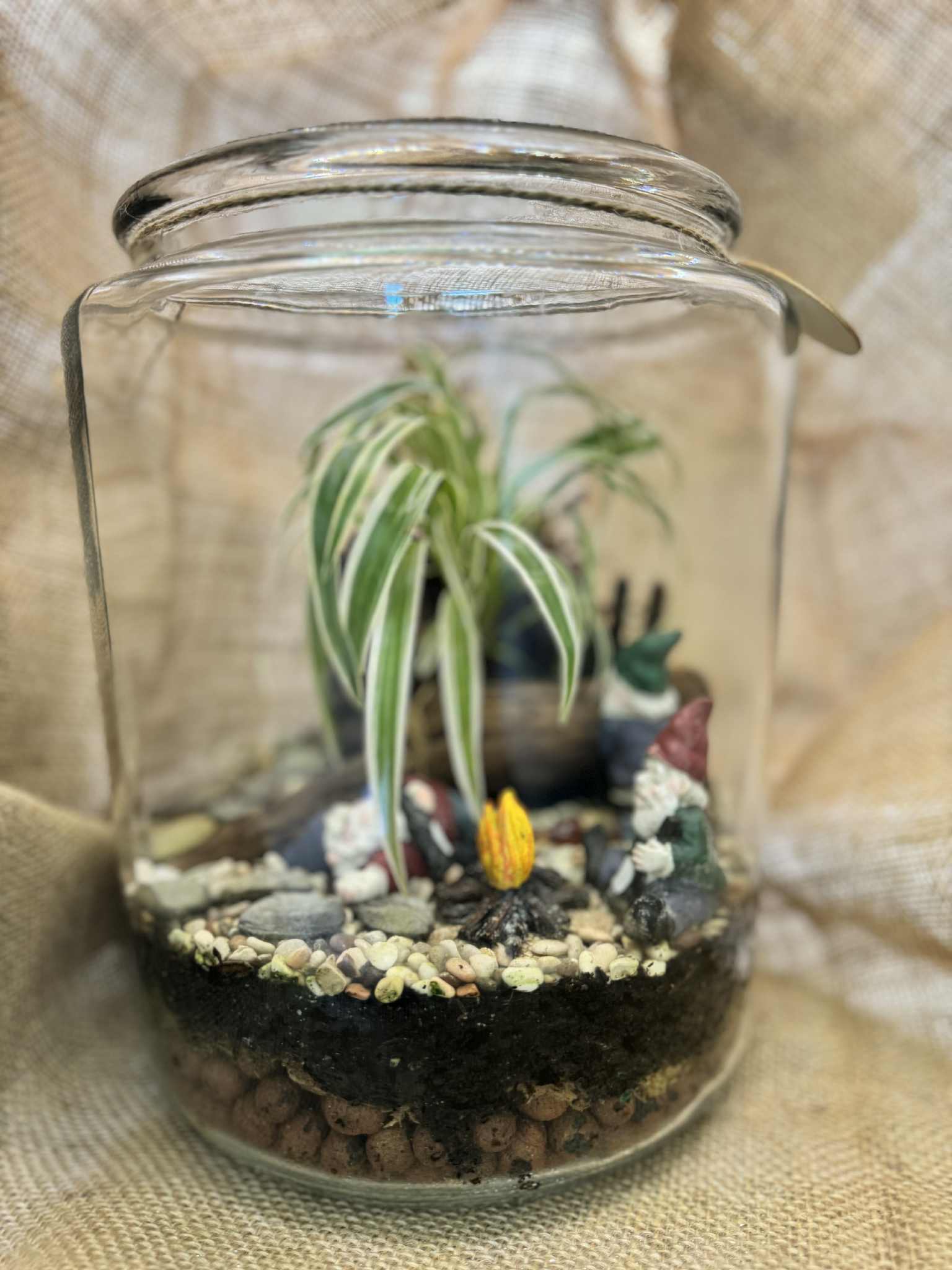 Glass Jar Terrarium