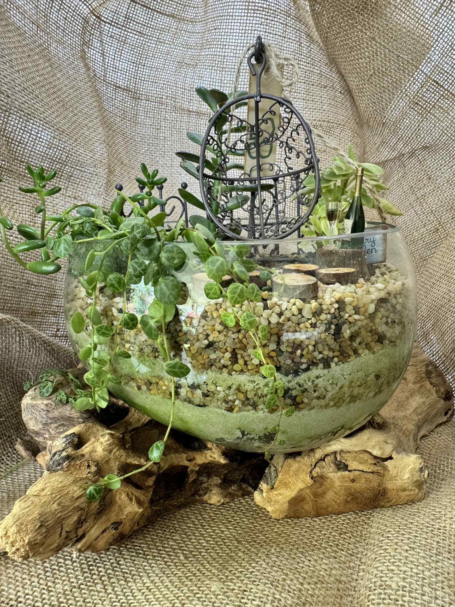 Open Molten glass terrariums on hardwood bases