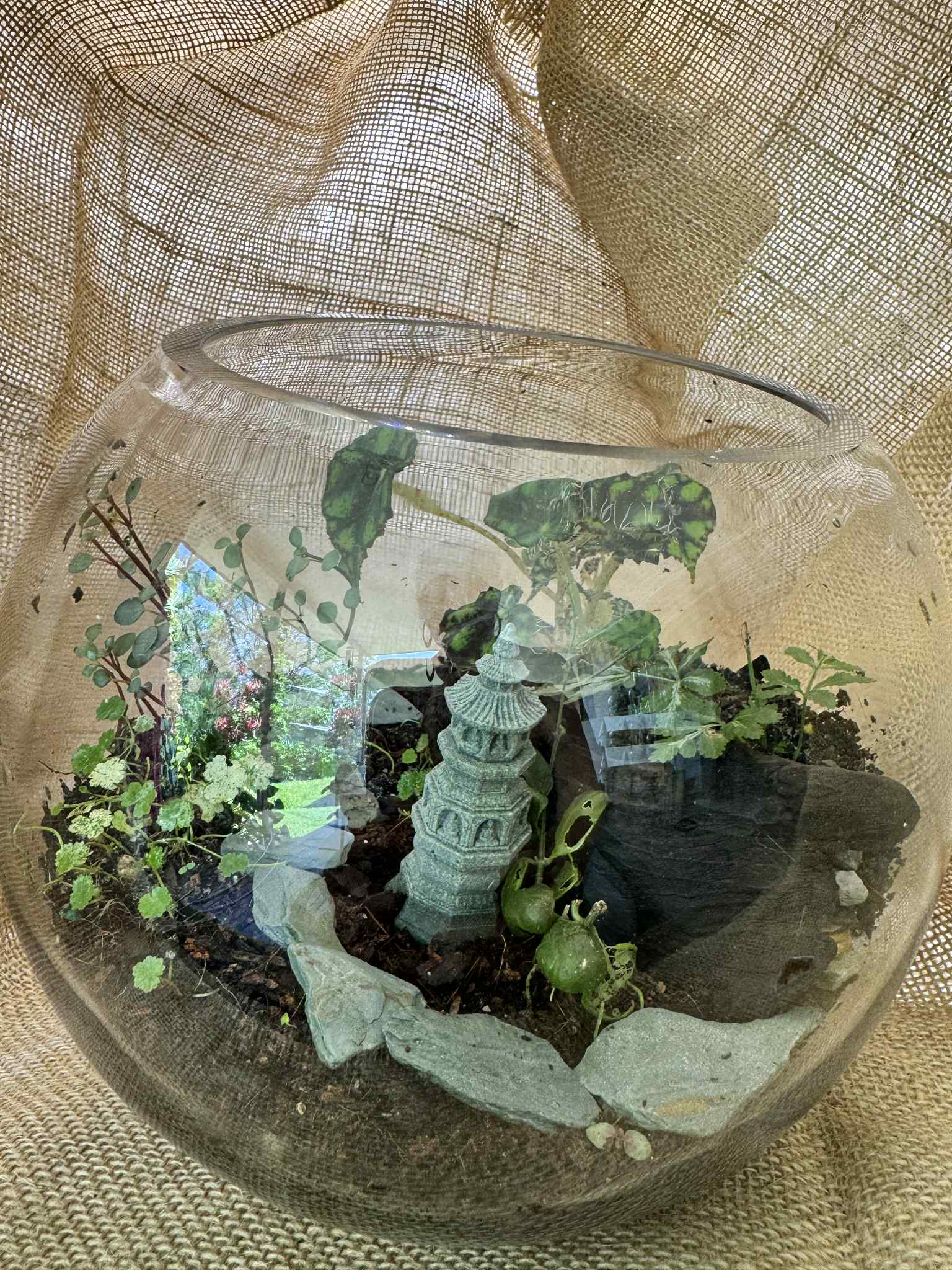 Glass Terrarium with Miniature Pagoda & House