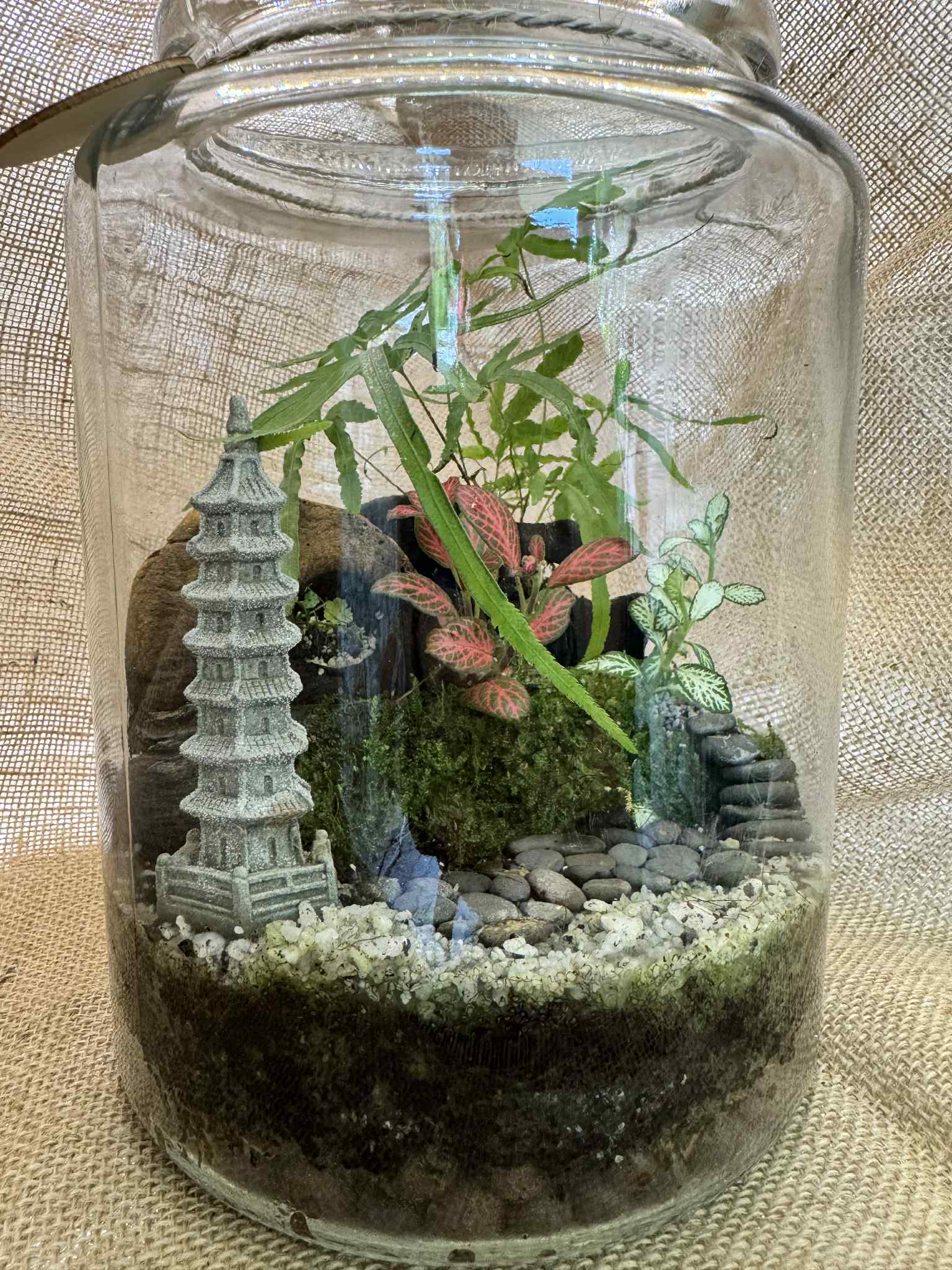 Closed Temple Terrarium