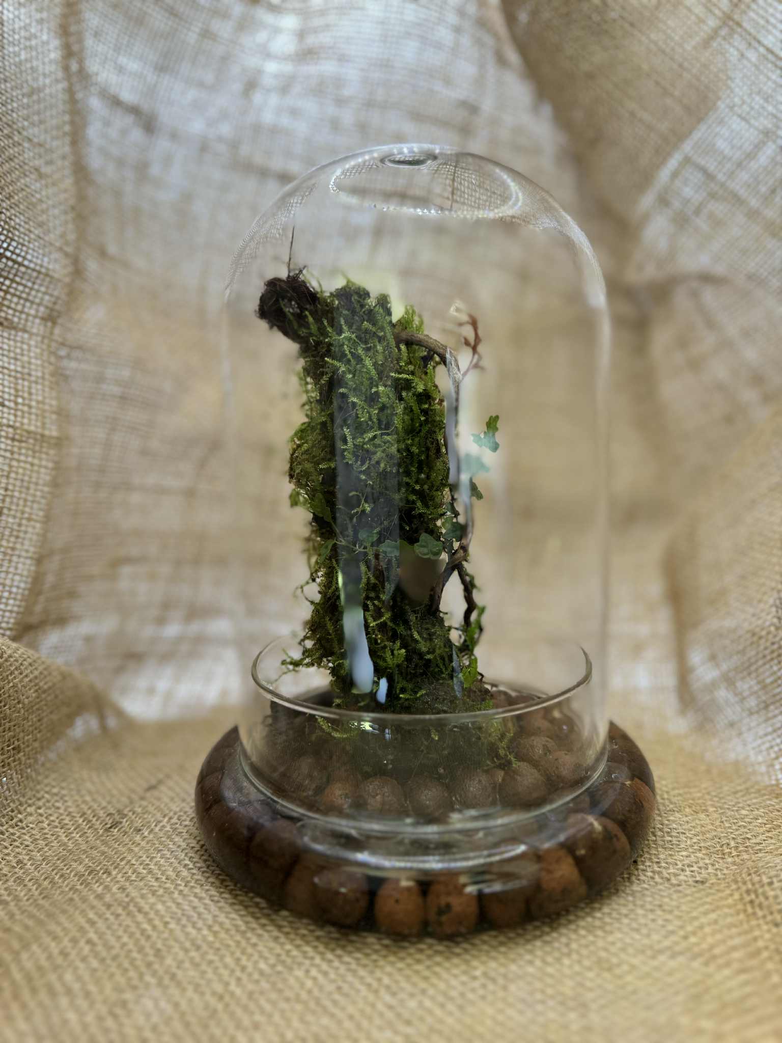 Miniature Dome Wick Terrarium