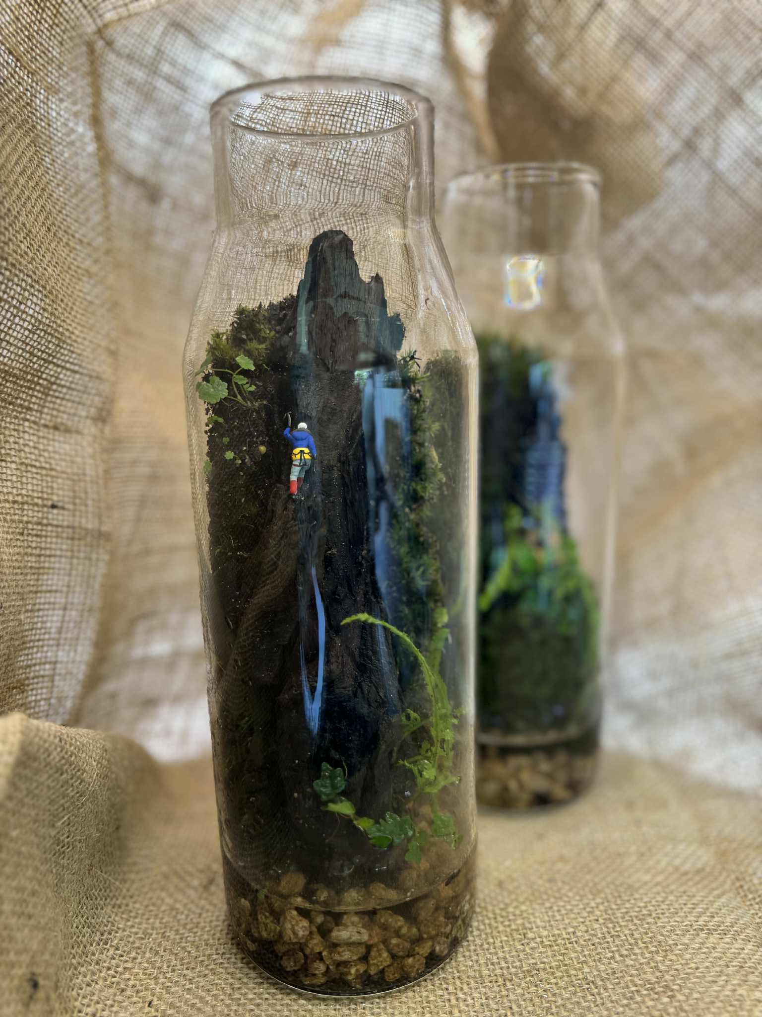Vertical Moss-wall Paludarium's