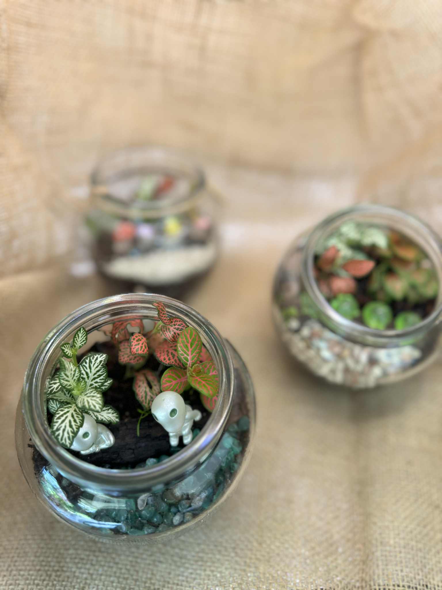 Fun Mini Glass Terrariums (Glow in the dark accents)