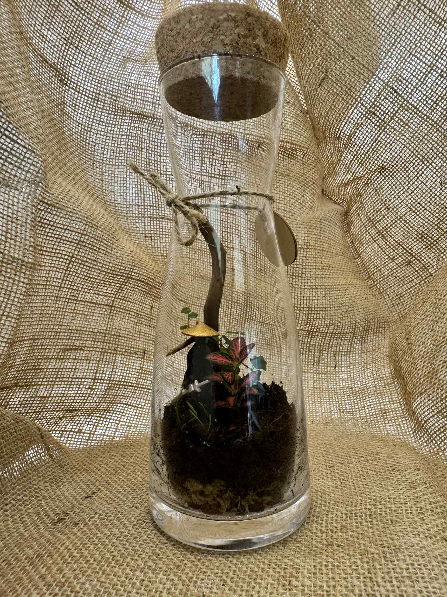 Glass Terrarium with Ninja
