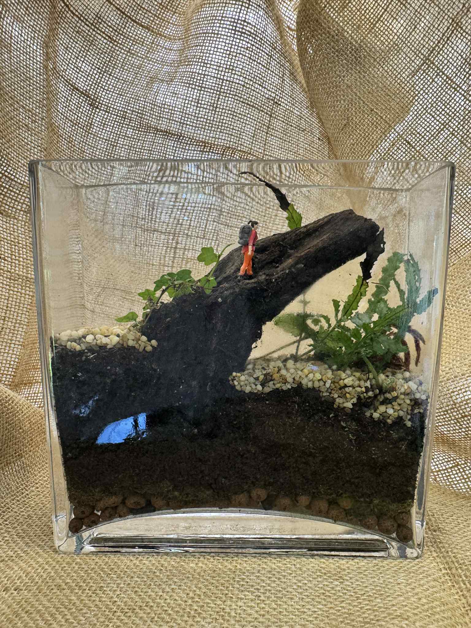 Glass Terrarium with Miniature Hiker
