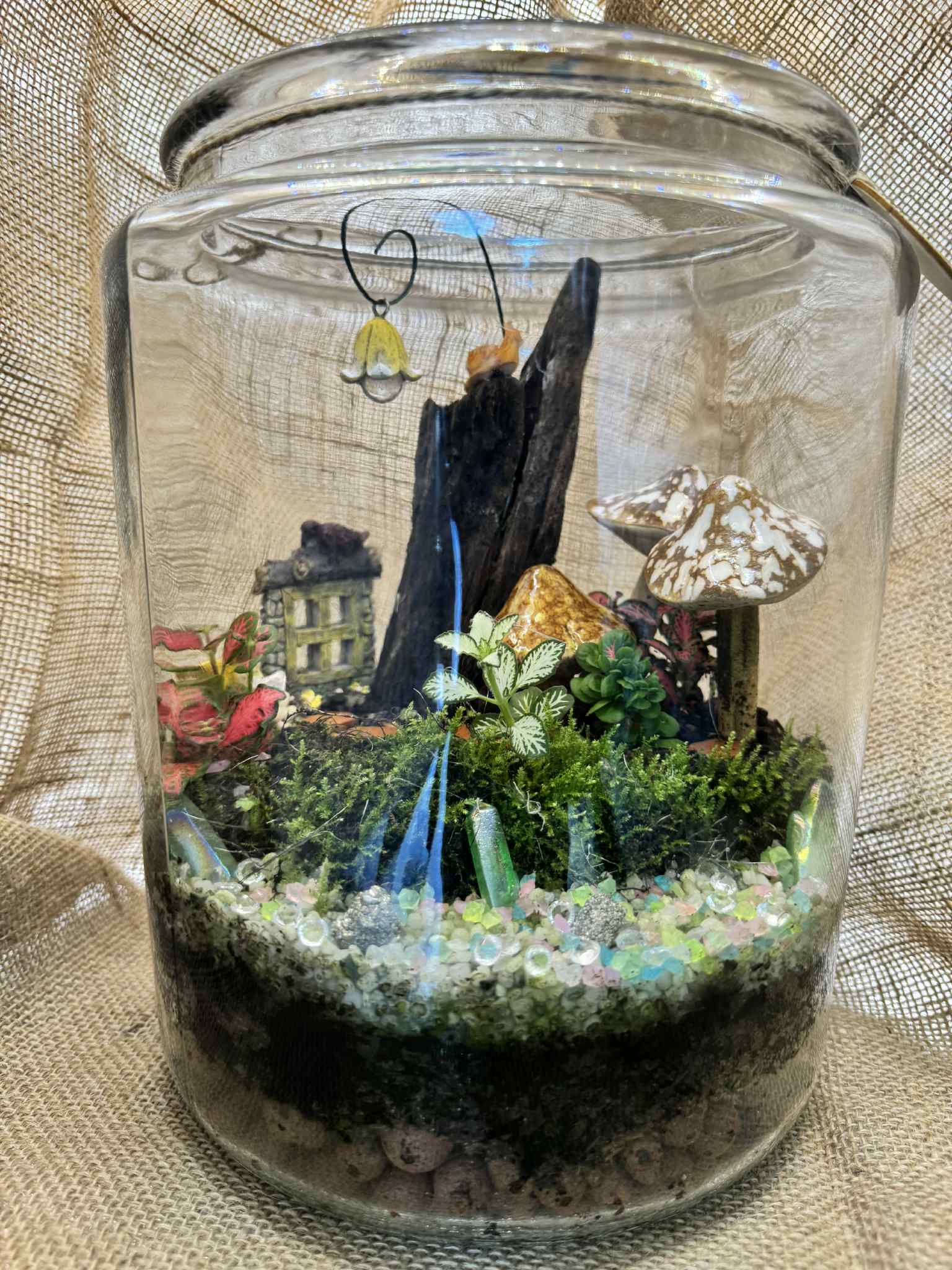 Enchanted Terrarium Jar