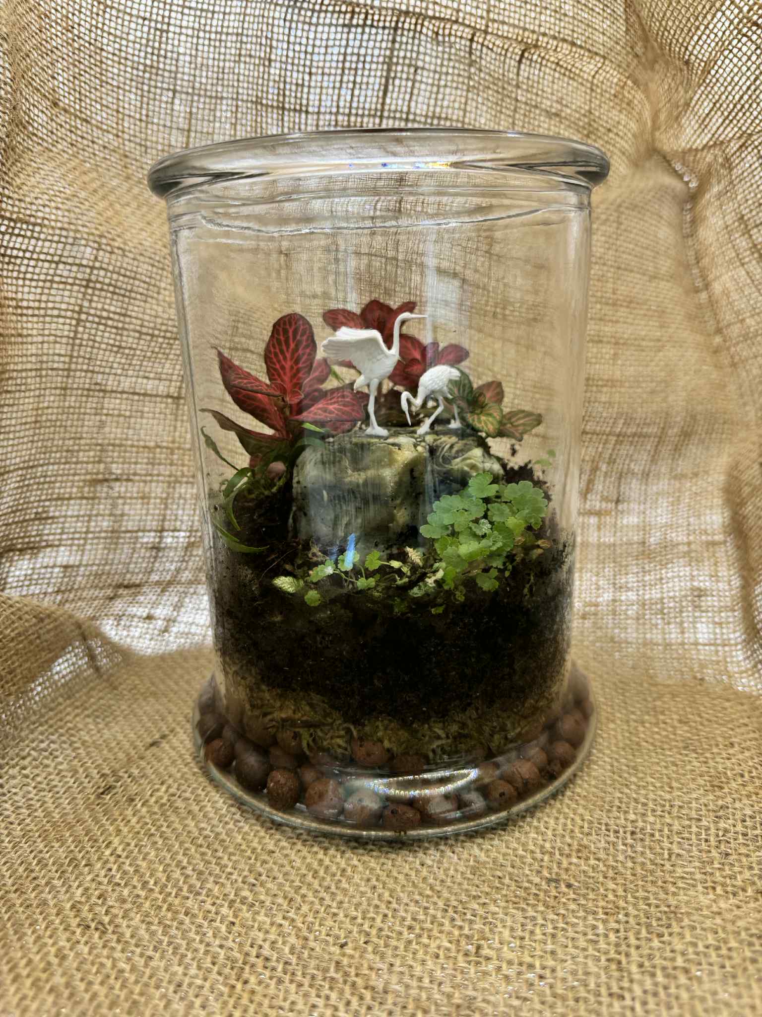 Medium cylinder terrariums