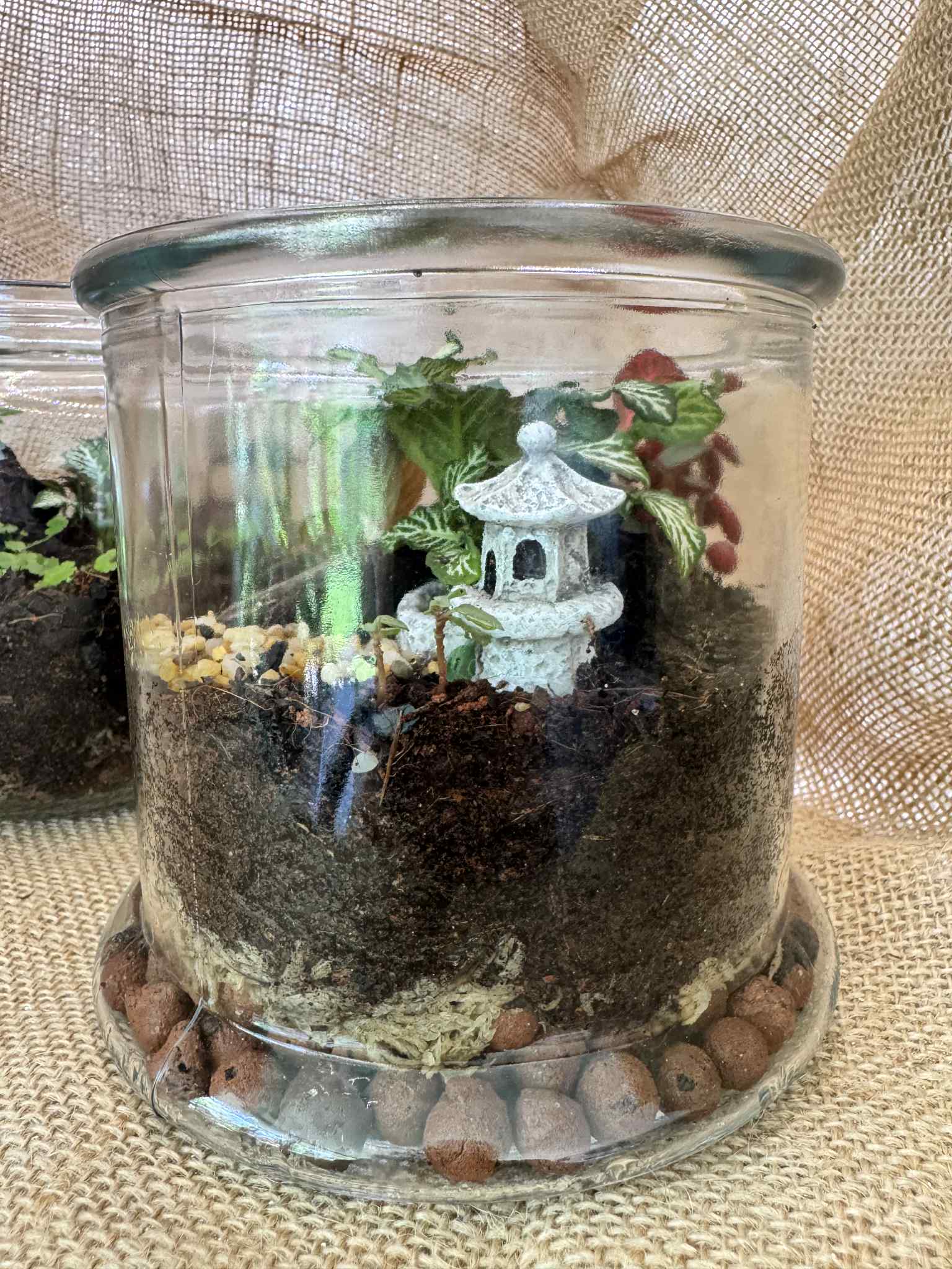 Japanese Garden Terrarium