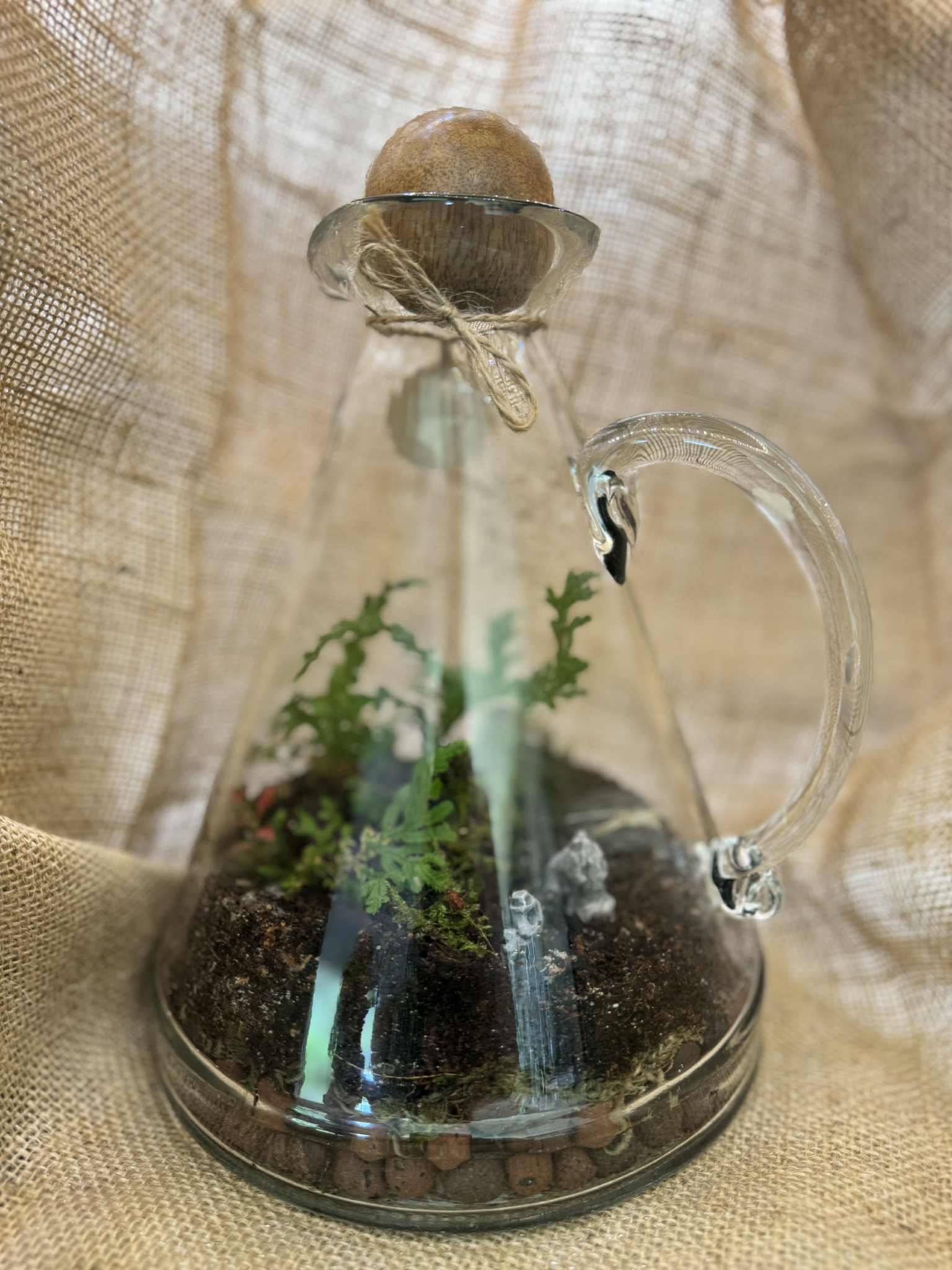 designer water jug terrarium