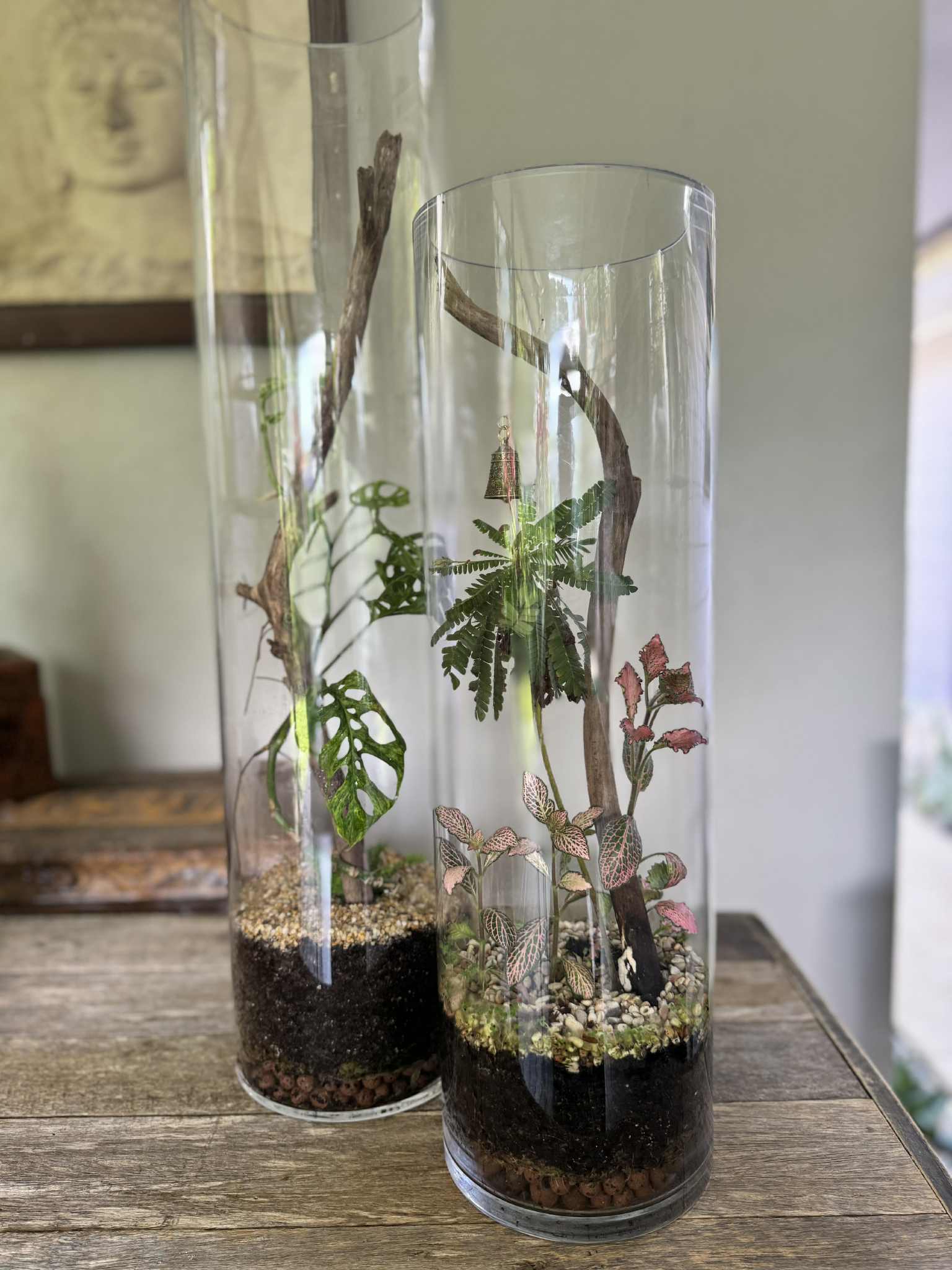 Extra Tall Glass Cylinder Terrariums