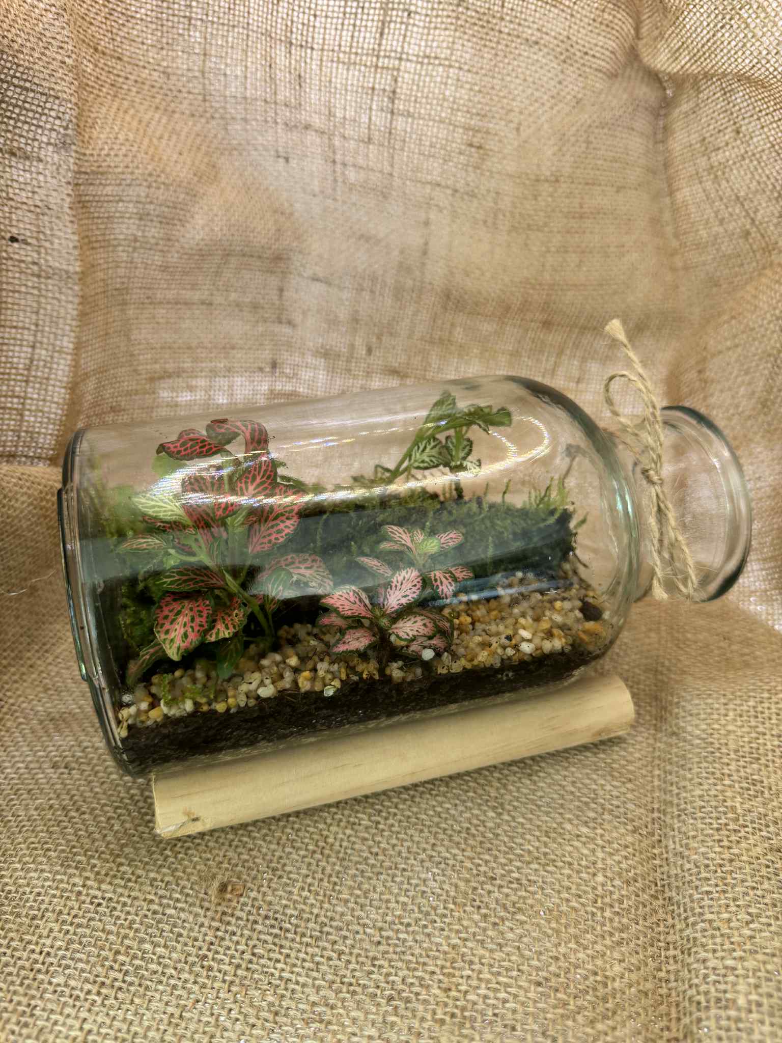 Horizontal Bottle Terrarium