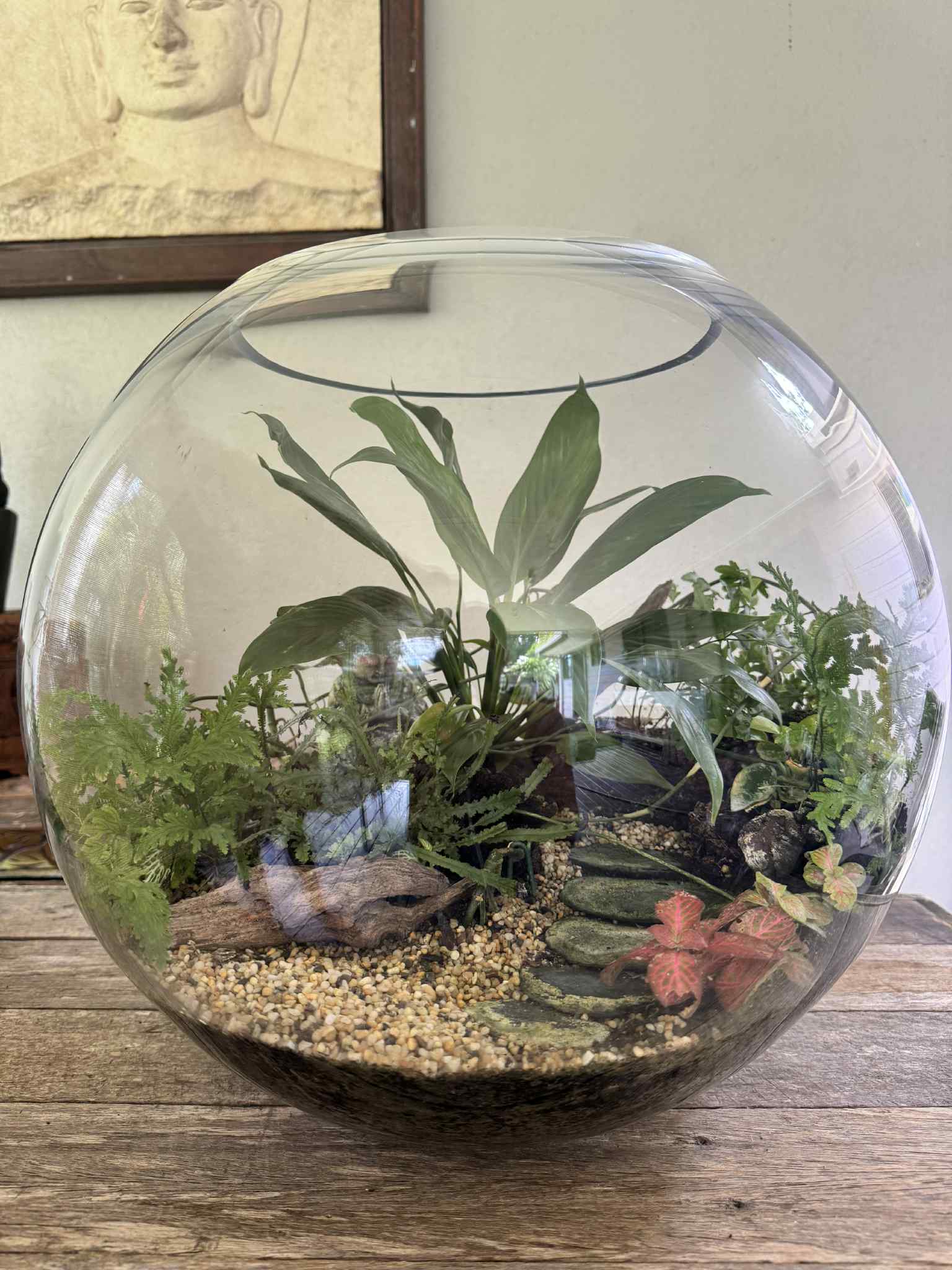 Extra Large Buddha Terrarium