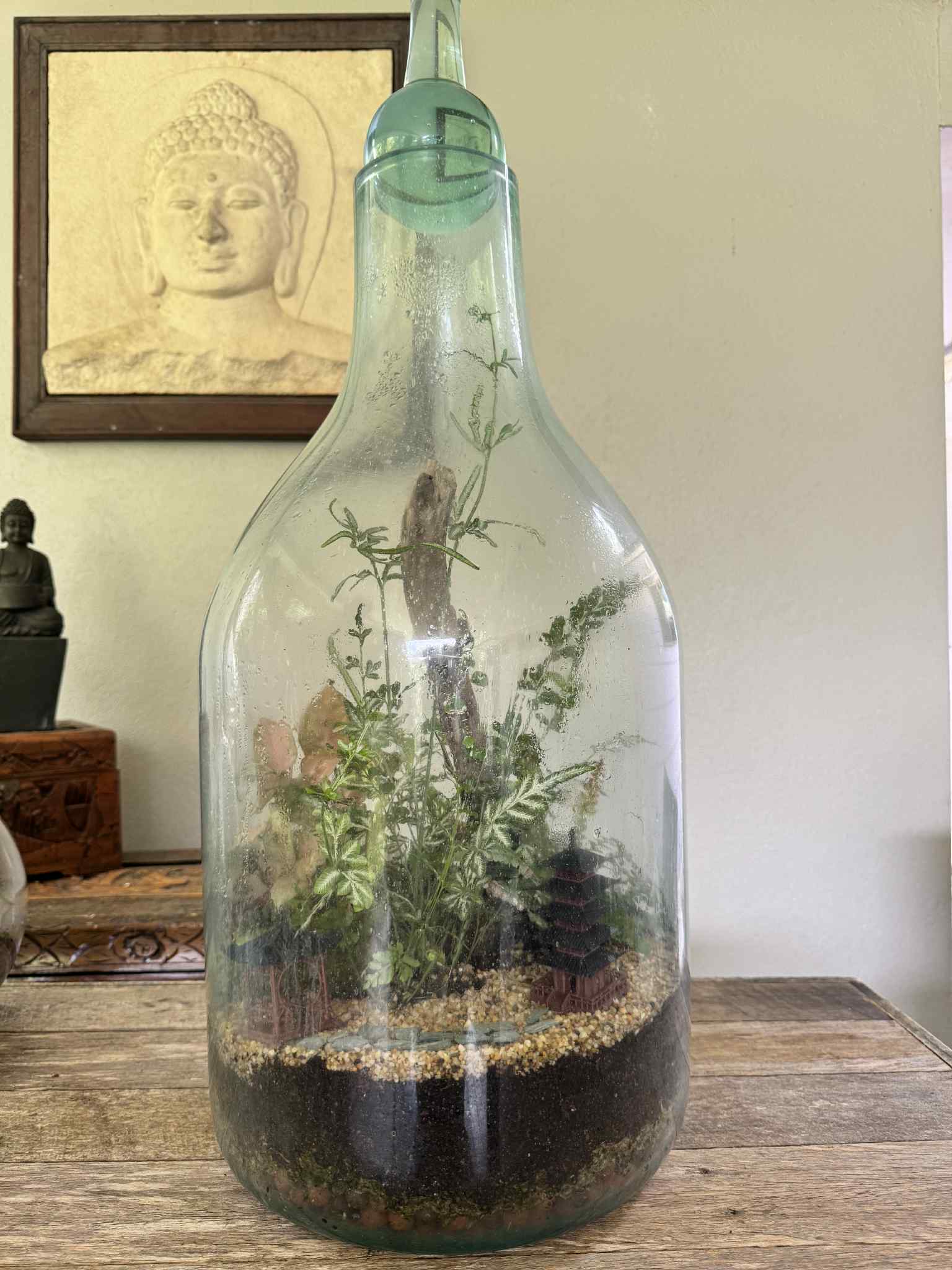 Imported Handcrafted Glass Bottle Terrarium