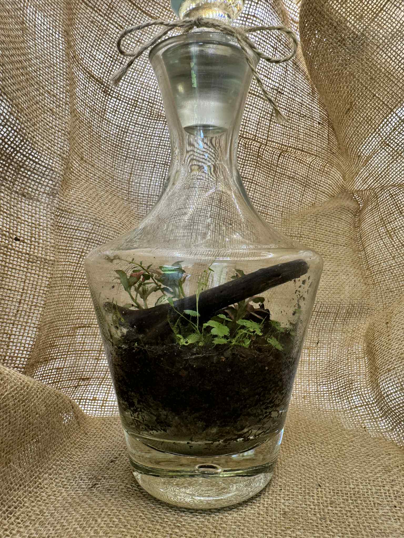 Crystal decanter terrarium with semi precious rocks