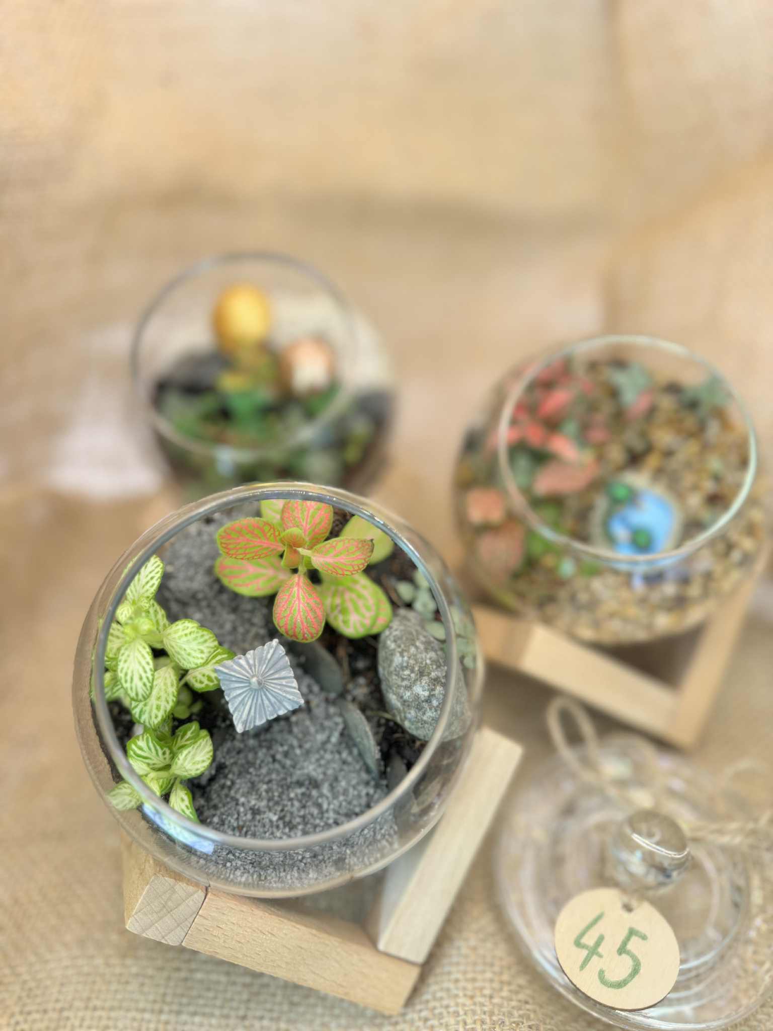 Miniature round terrariums with wooden stands