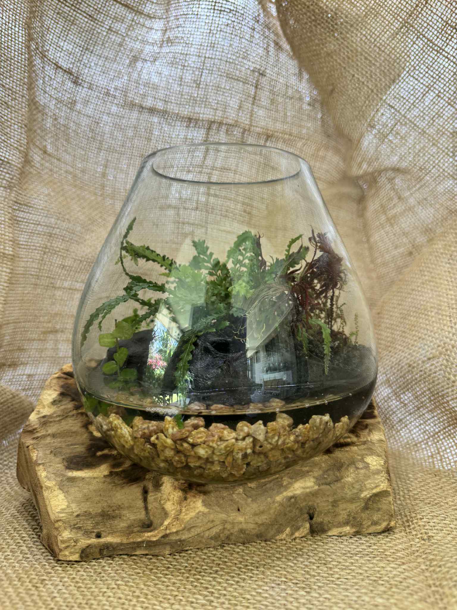Handmade Glass Paludarium