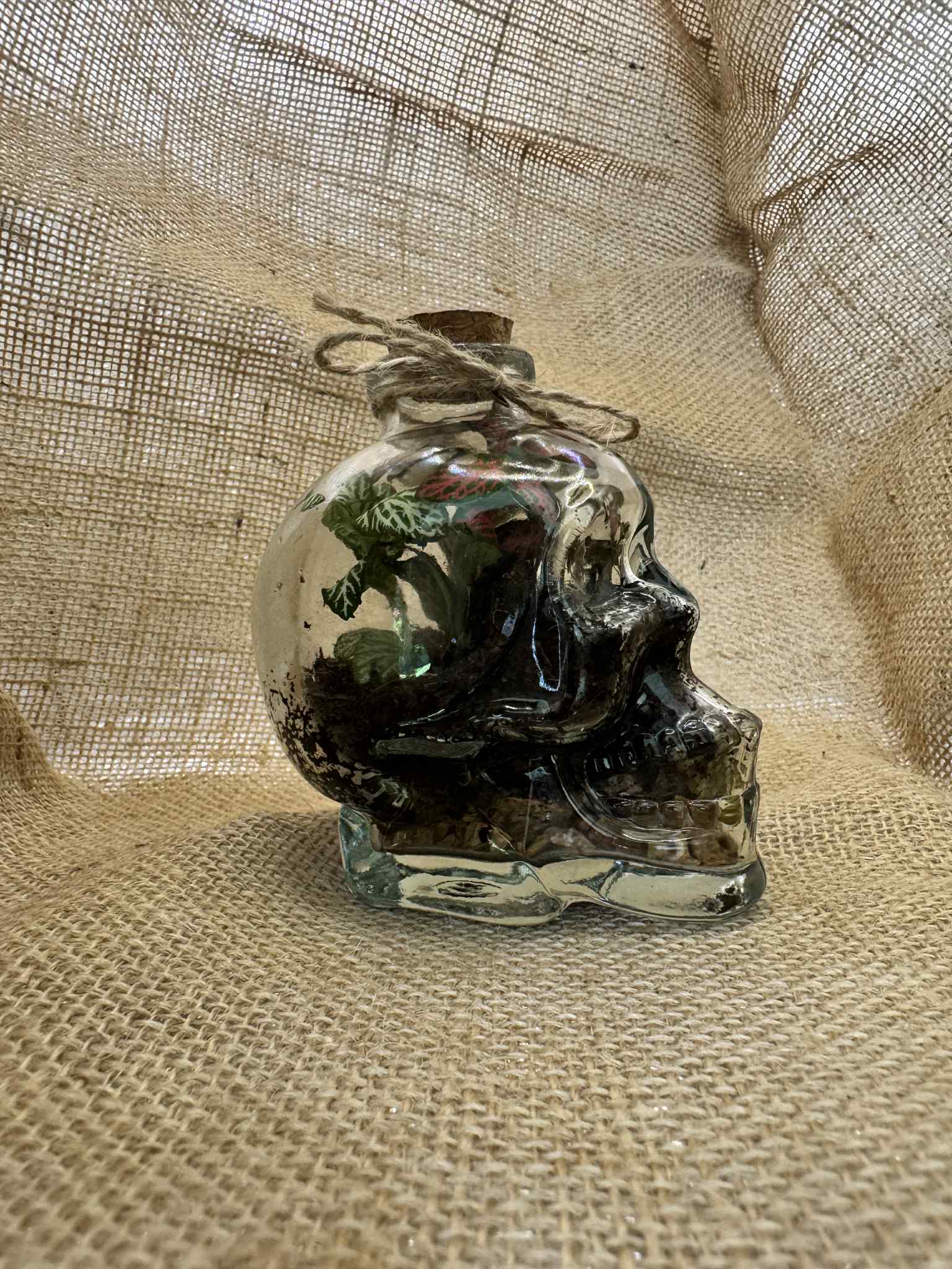 Skull Shaped Glass Bottle