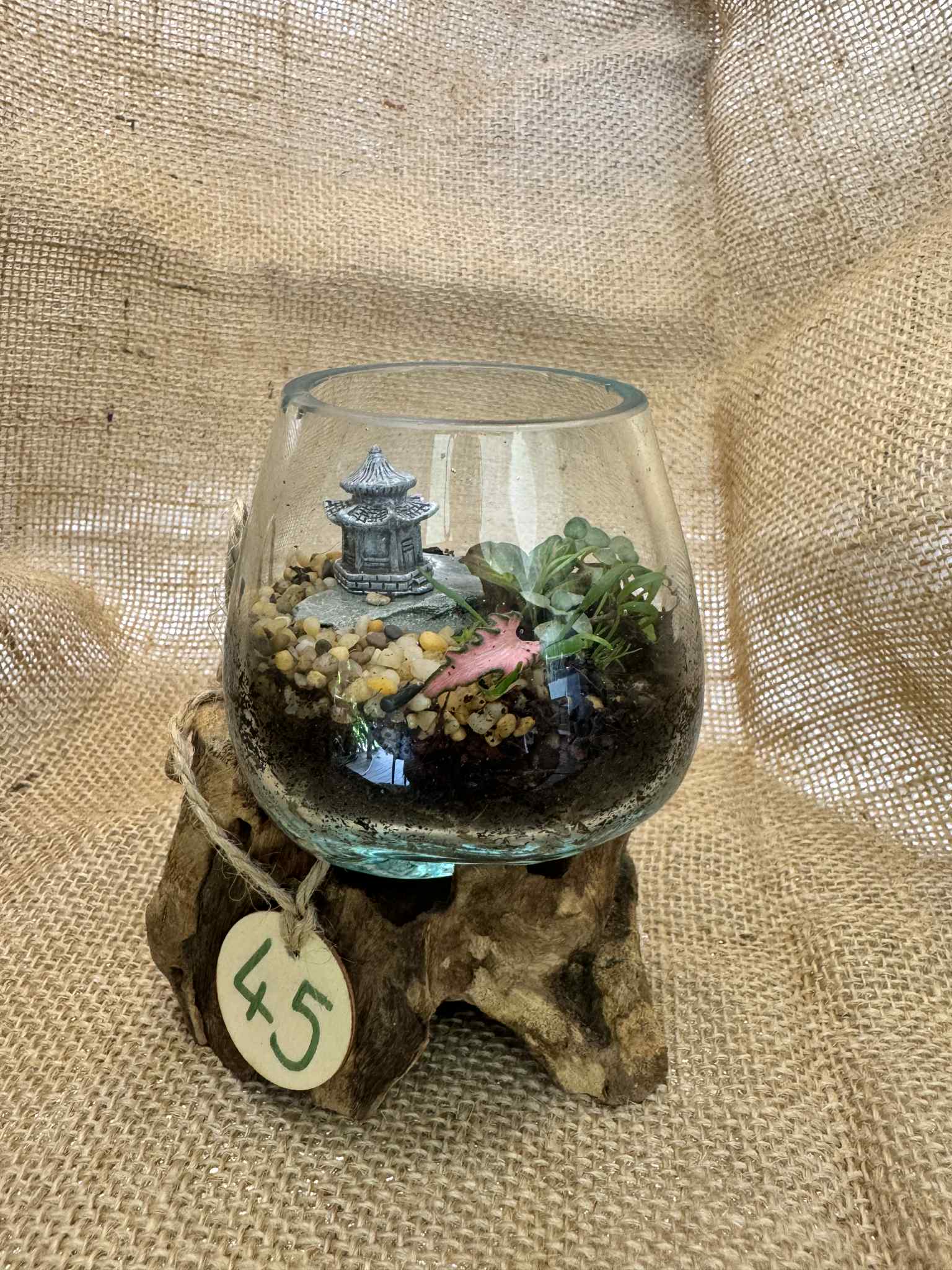 Miniature Zen Garden Terrarium