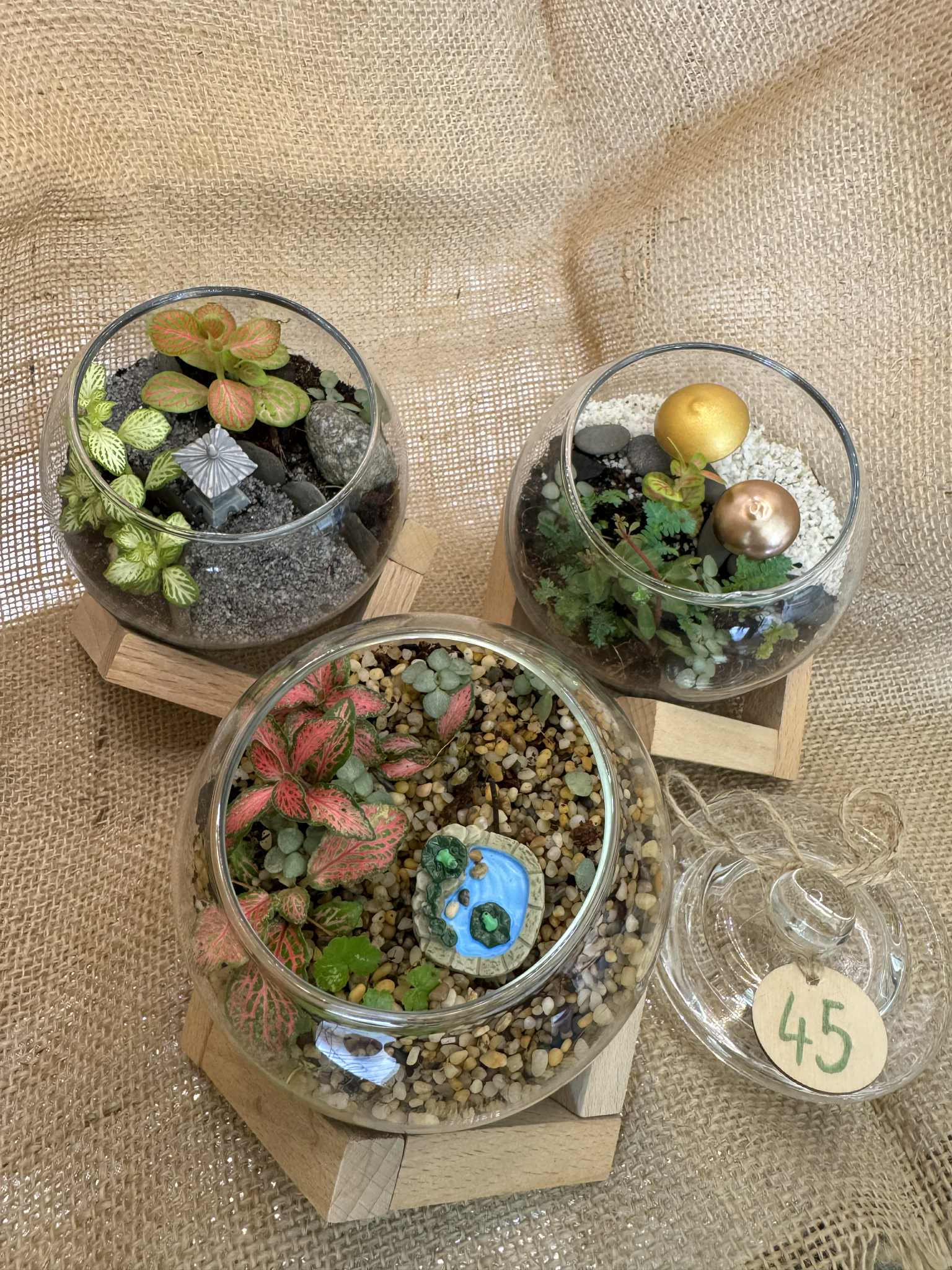 Miniature round terrariums with wooden stands 