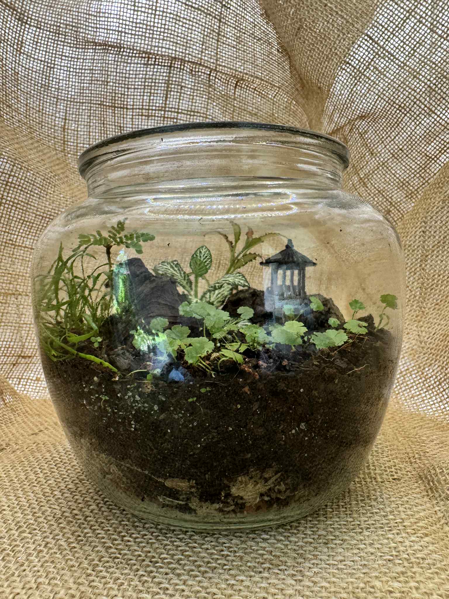 Medium round glass bowls 