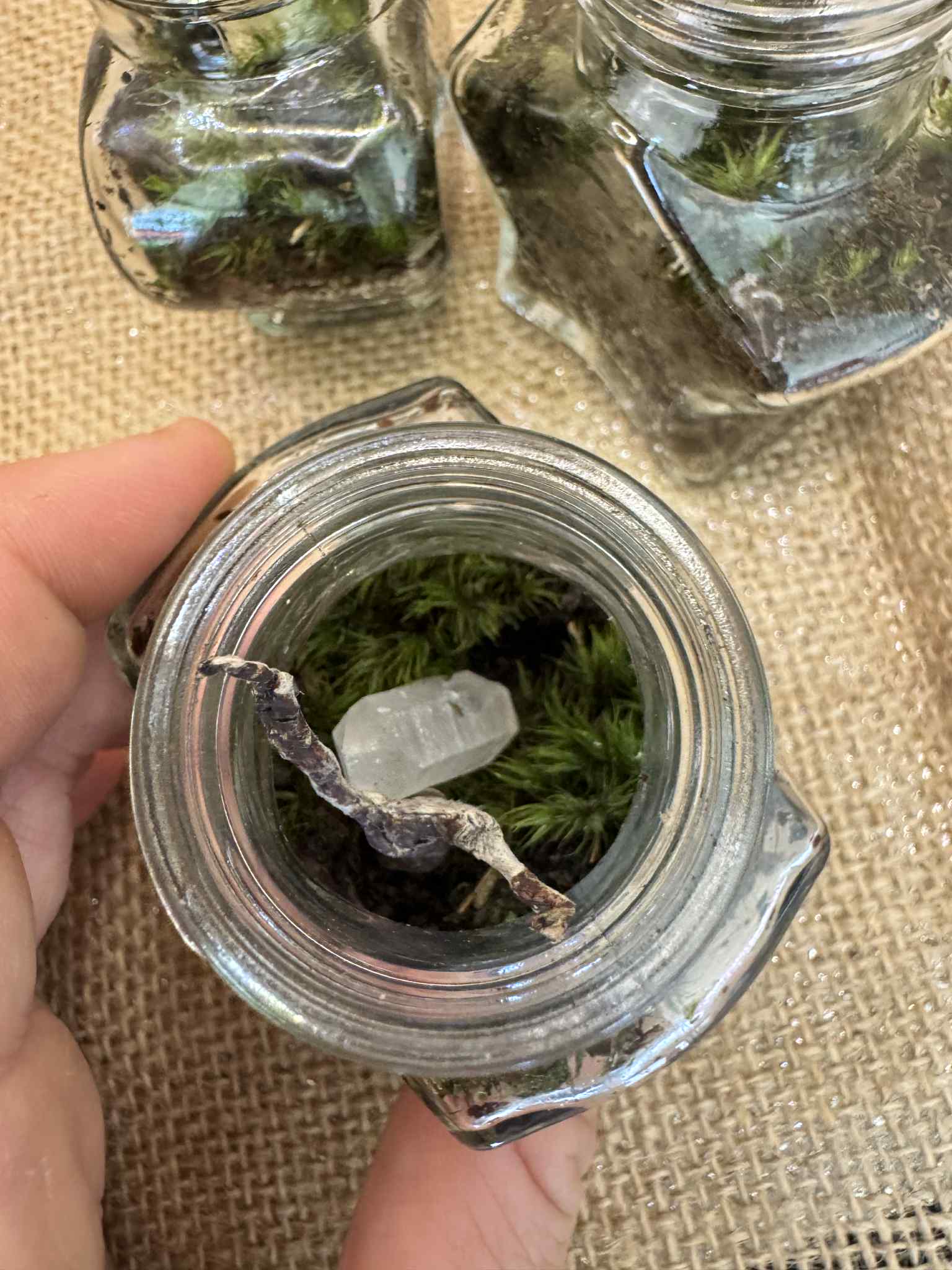 Micro Terrariums 