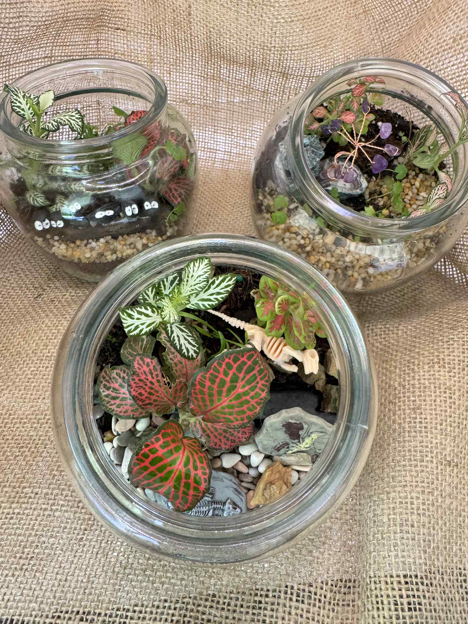 Fun Mini Glass Terrariums (Glow in the dark accents) 