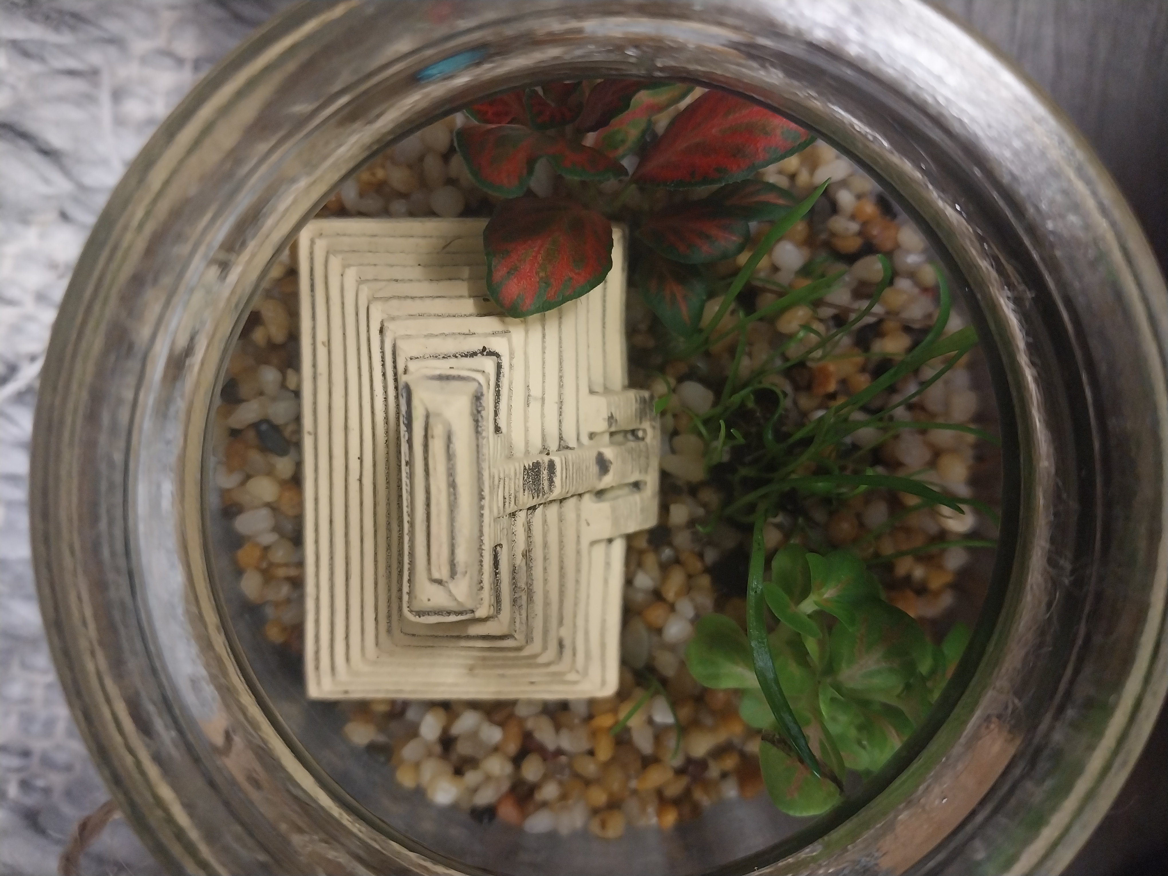 Mini round glass jar