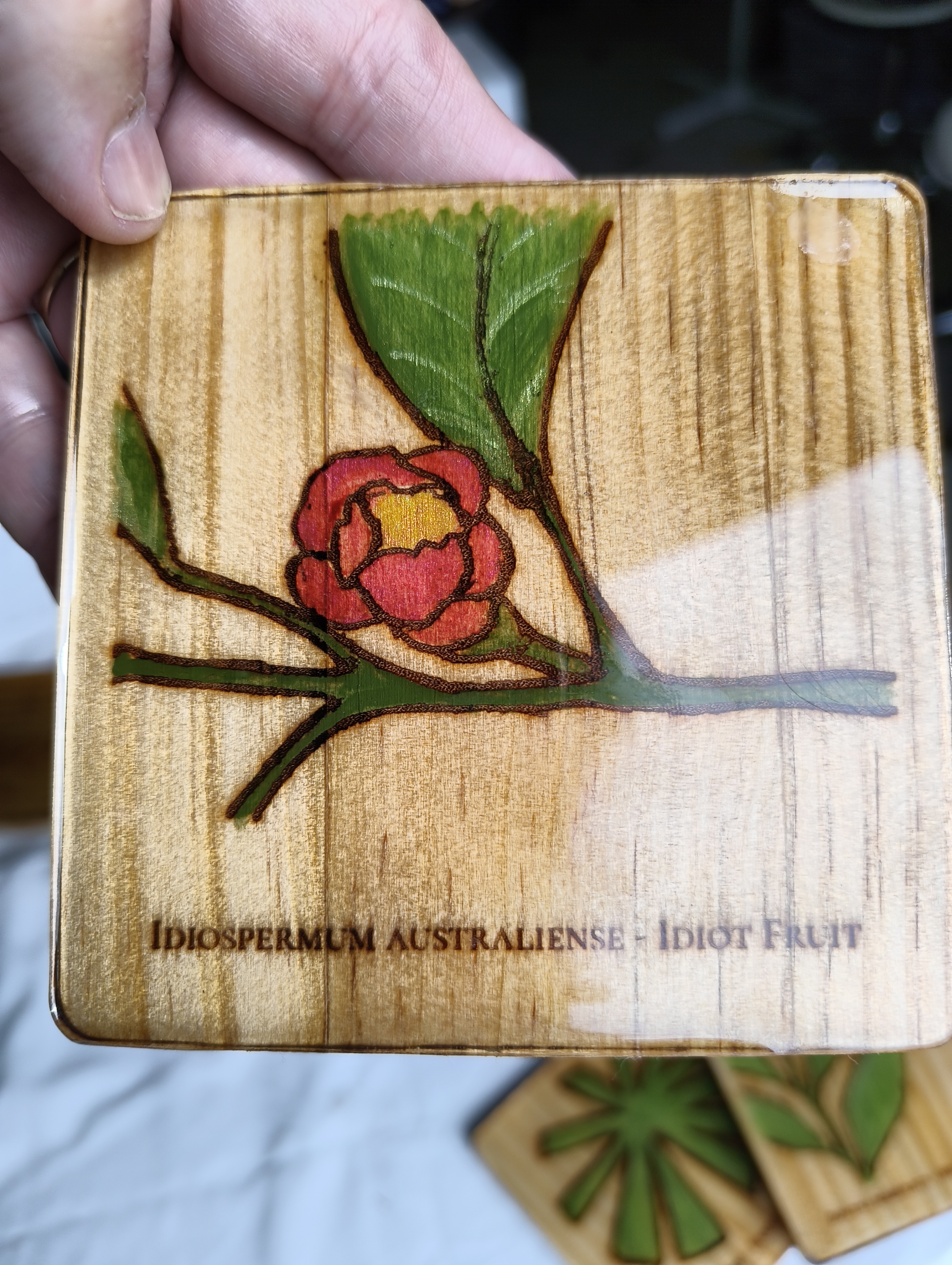 FNQ Endemic Plant Coaster Series