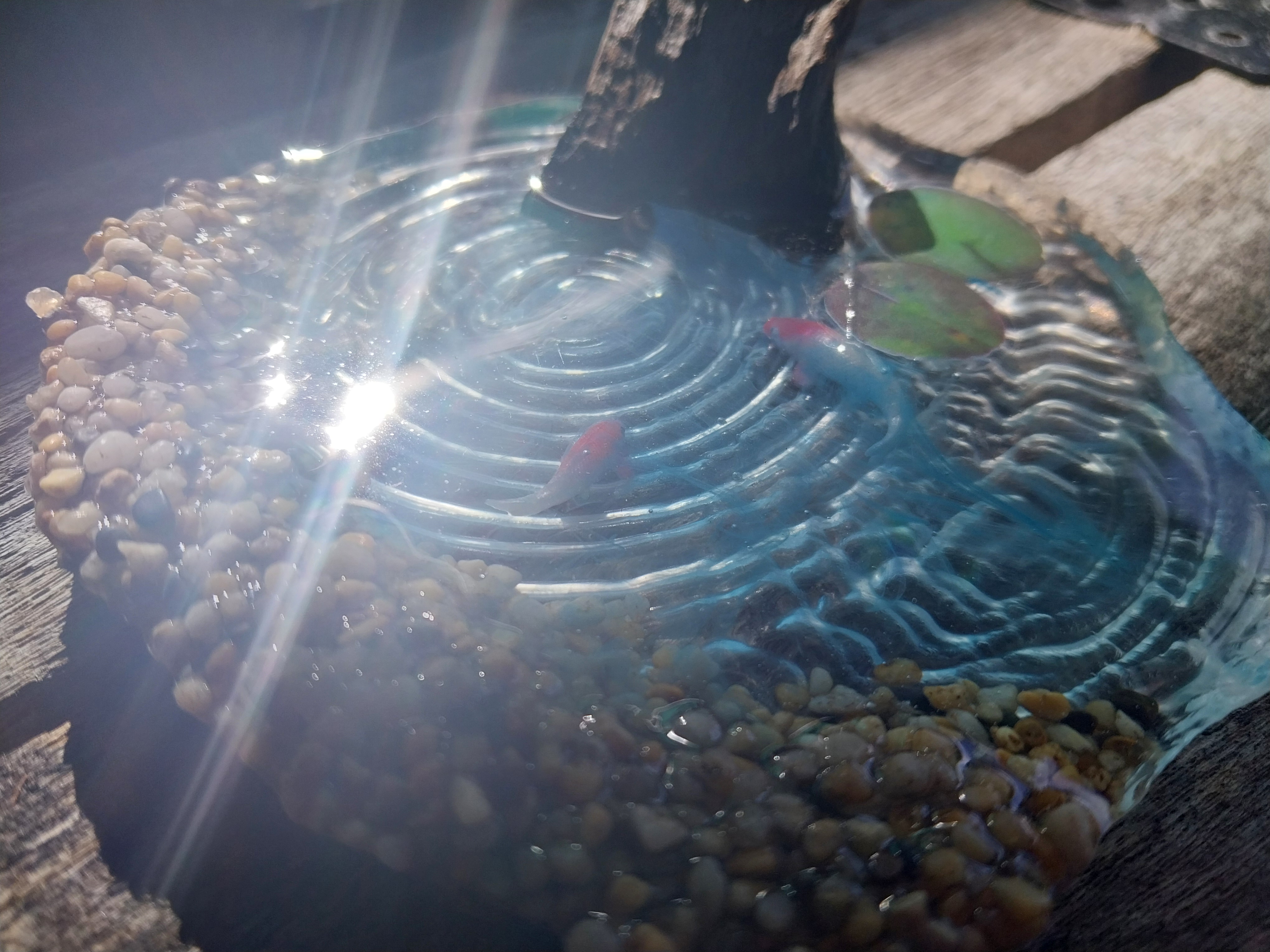 Handcrafted Miniature Pond Decor
