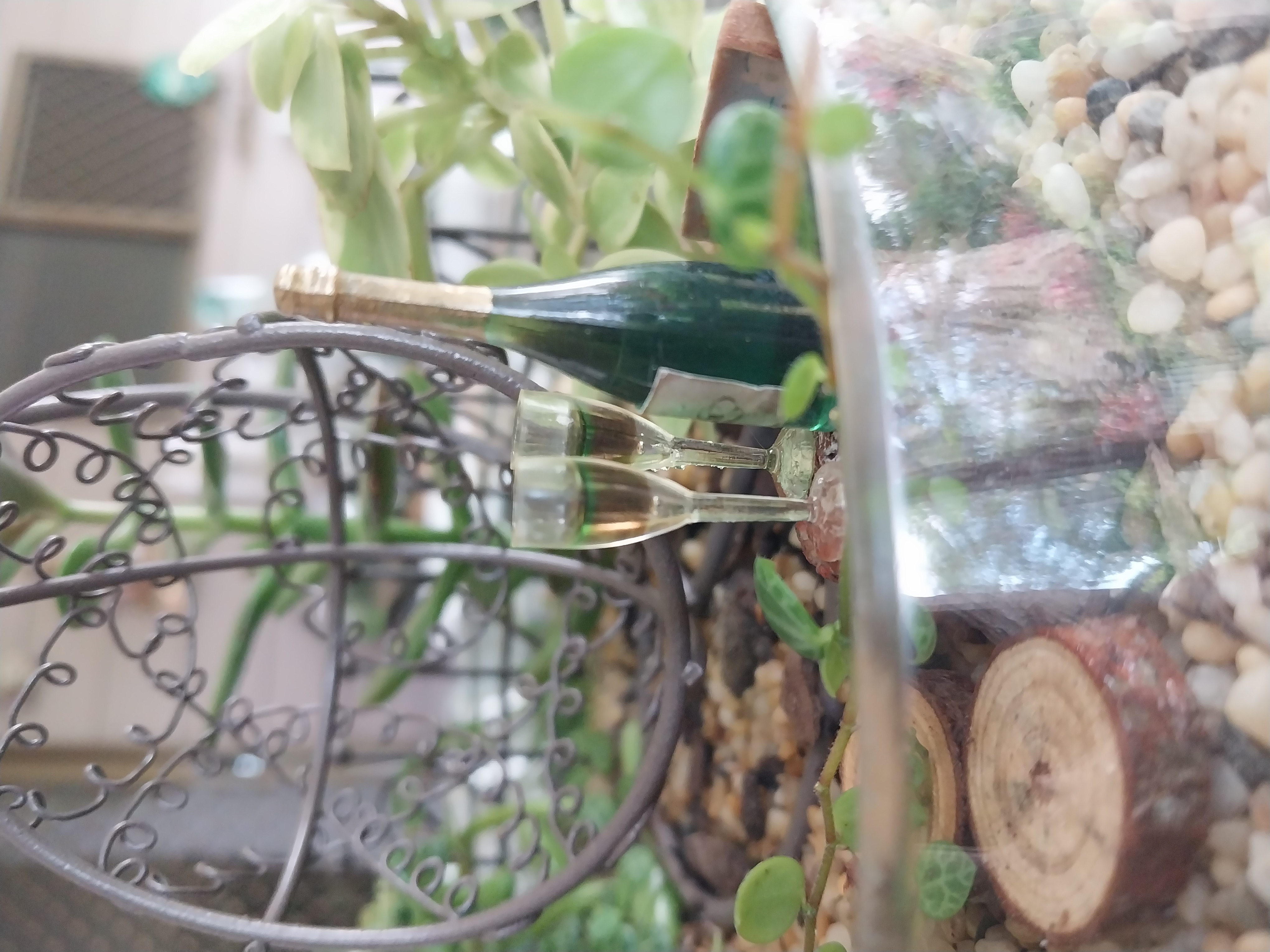 Open Molten glass terrariums on hardwood bases 