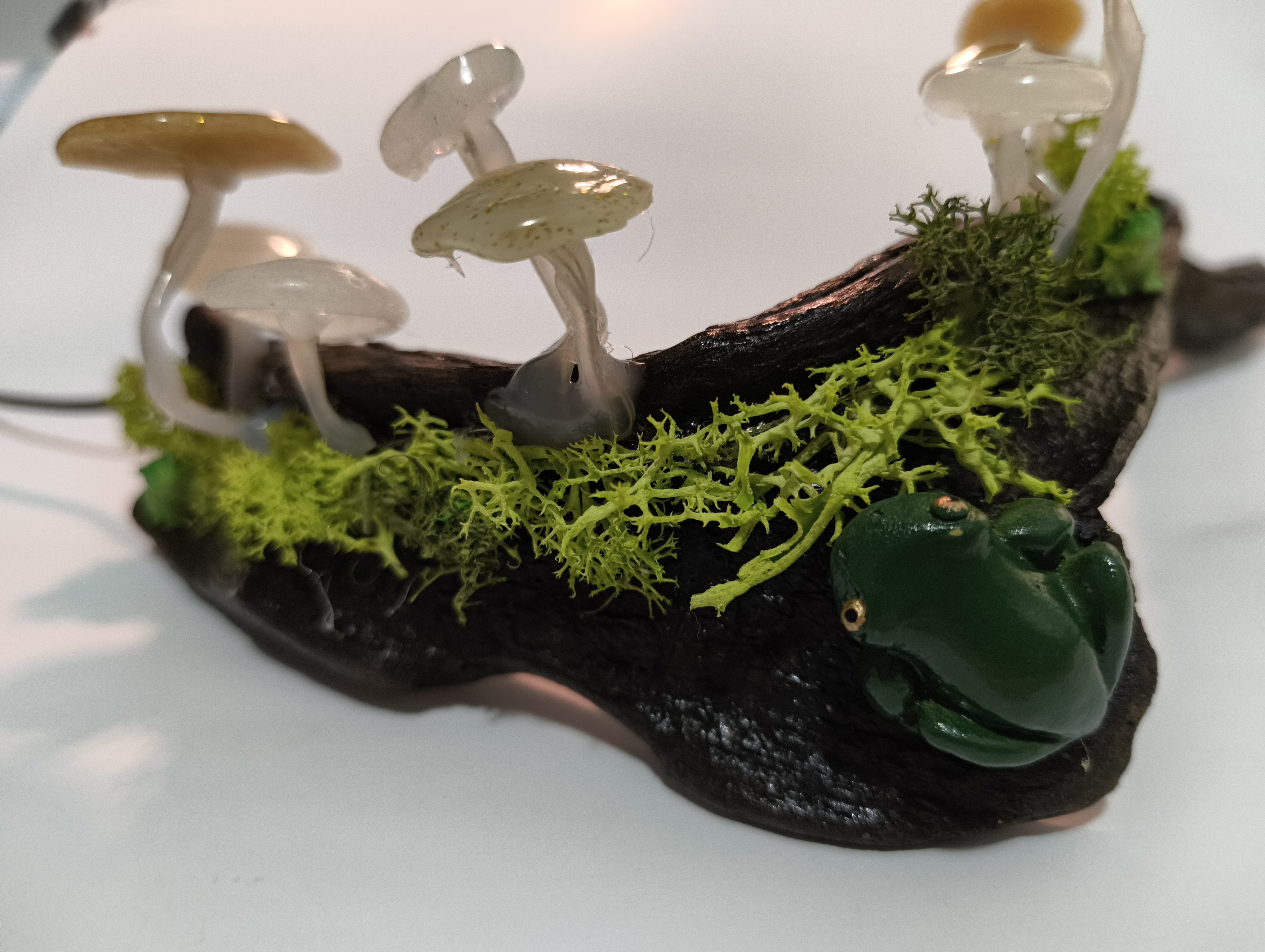 Frog Song 