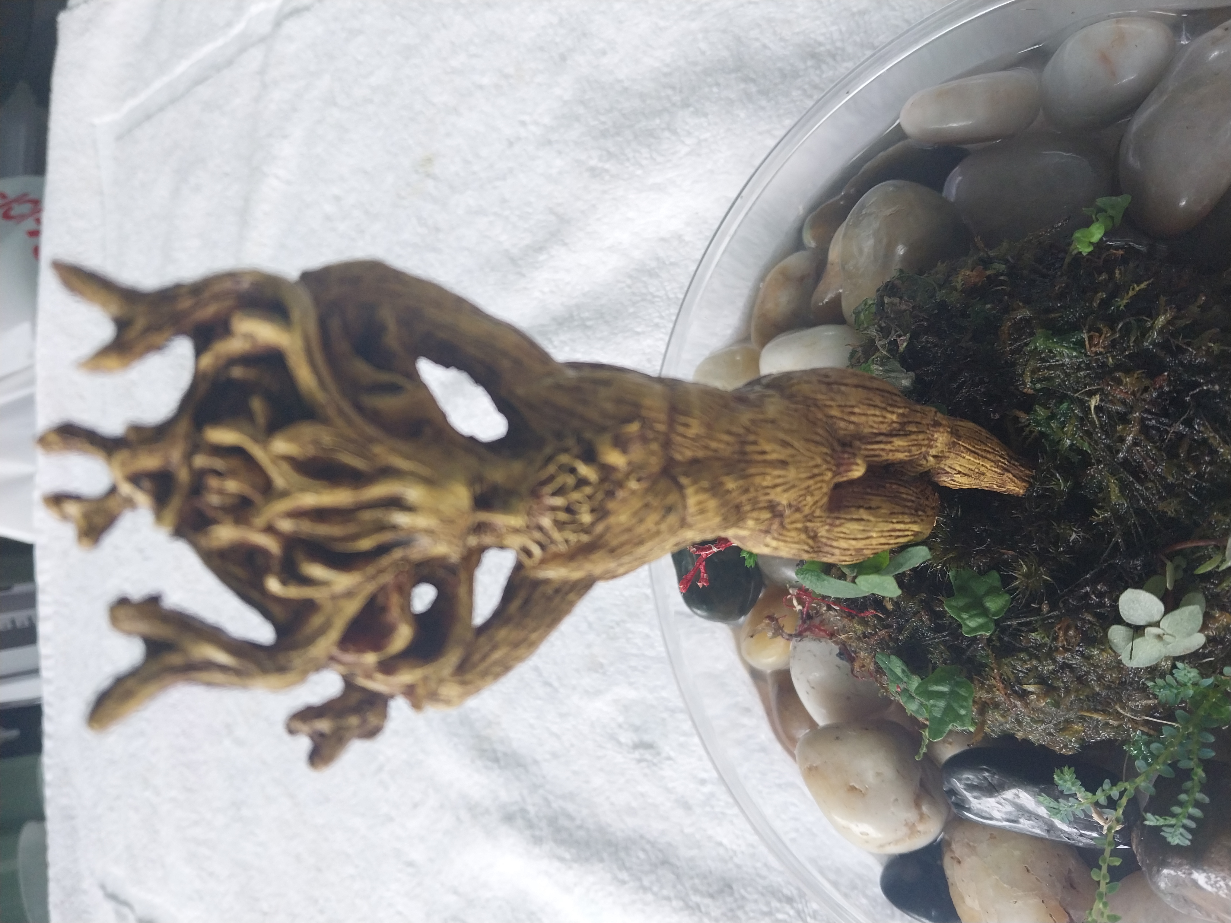 Tree Spirit Wabi-Kusa (male) 