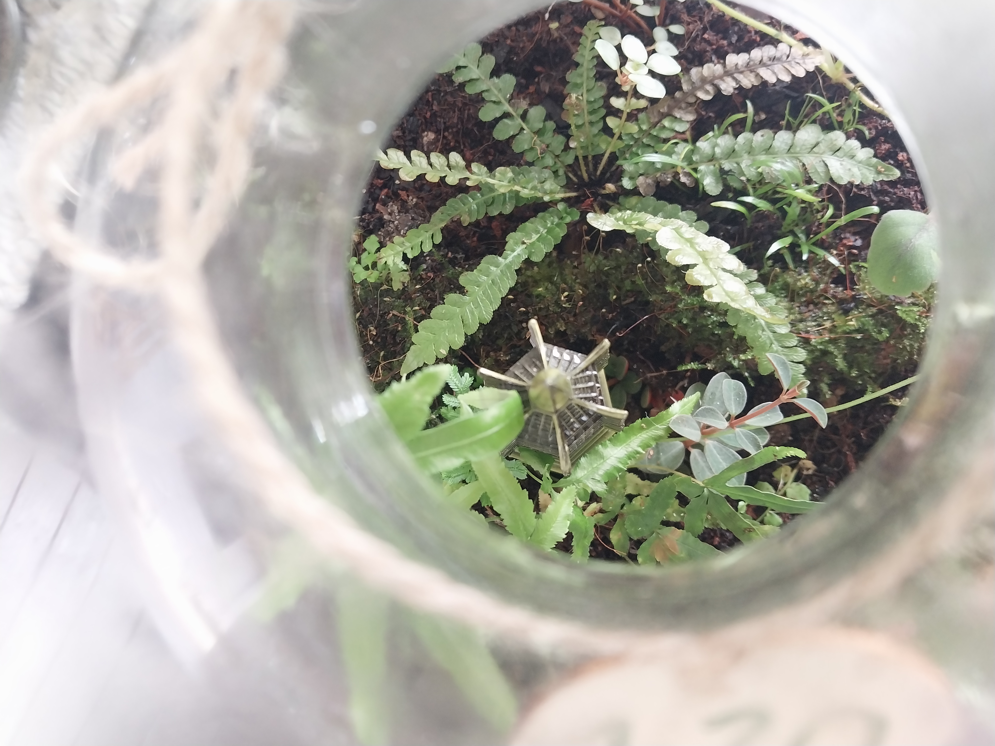 Glass Terrarium with Golden Temple 