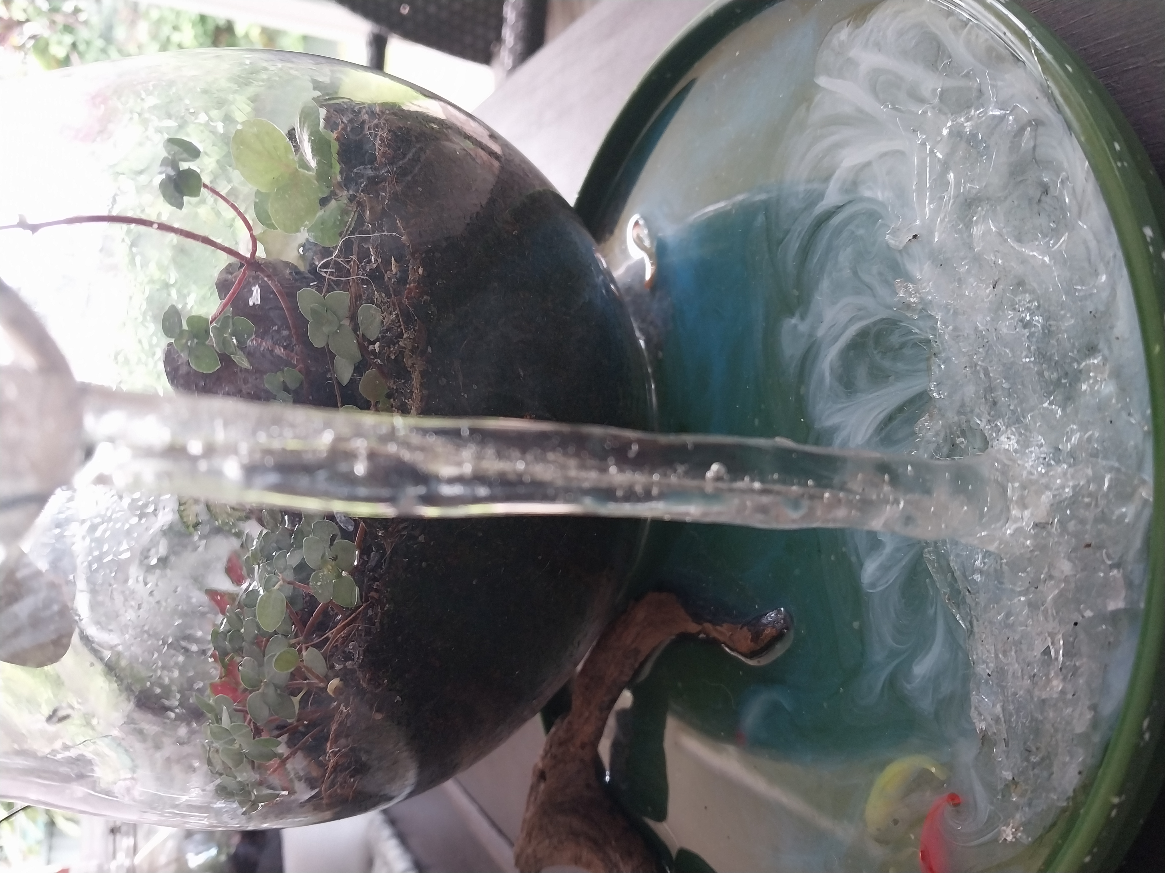 Glass Terrarium with Artistic Waterfall Design