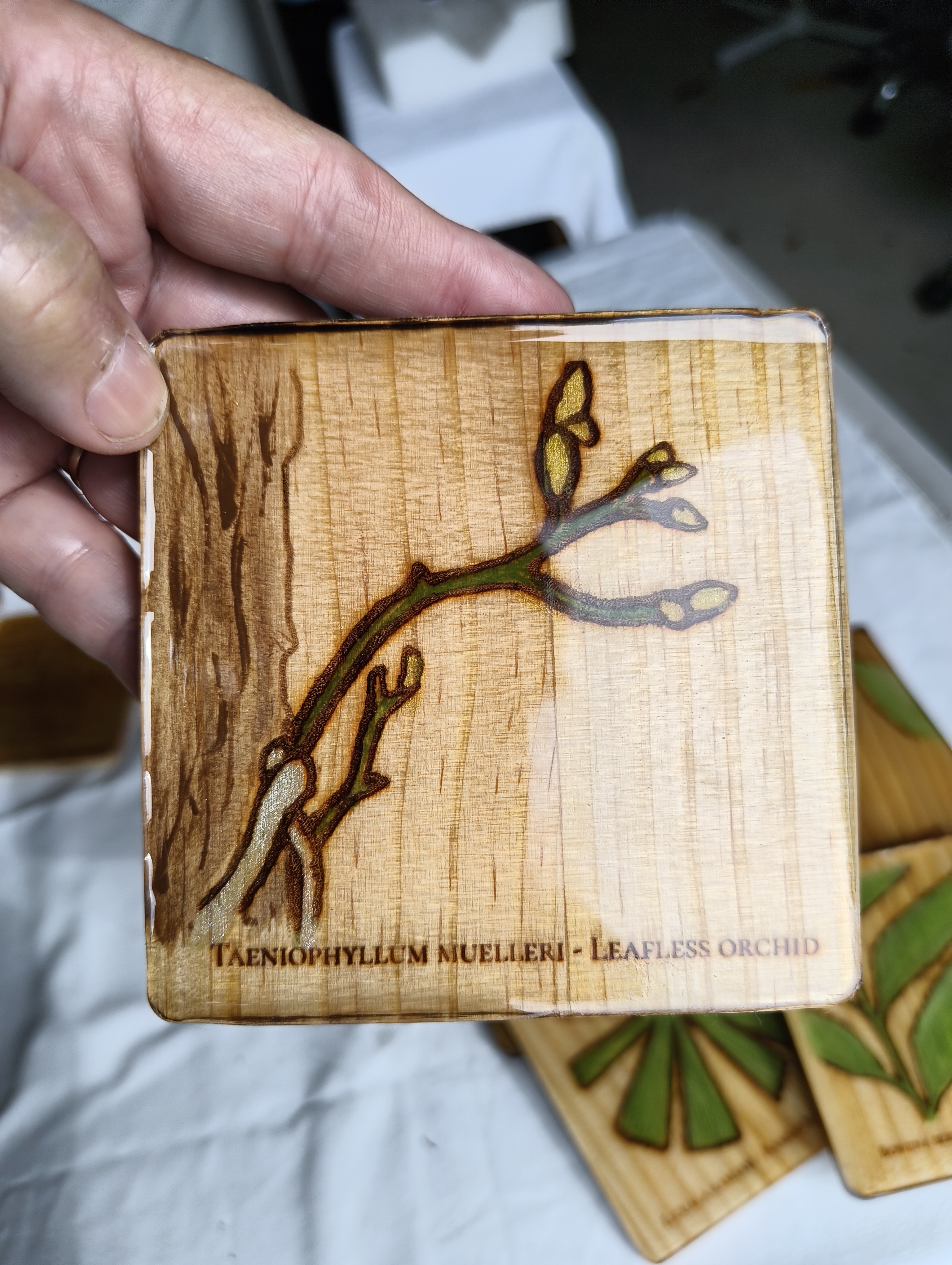 FNQ Endemic Plant Coaster Series