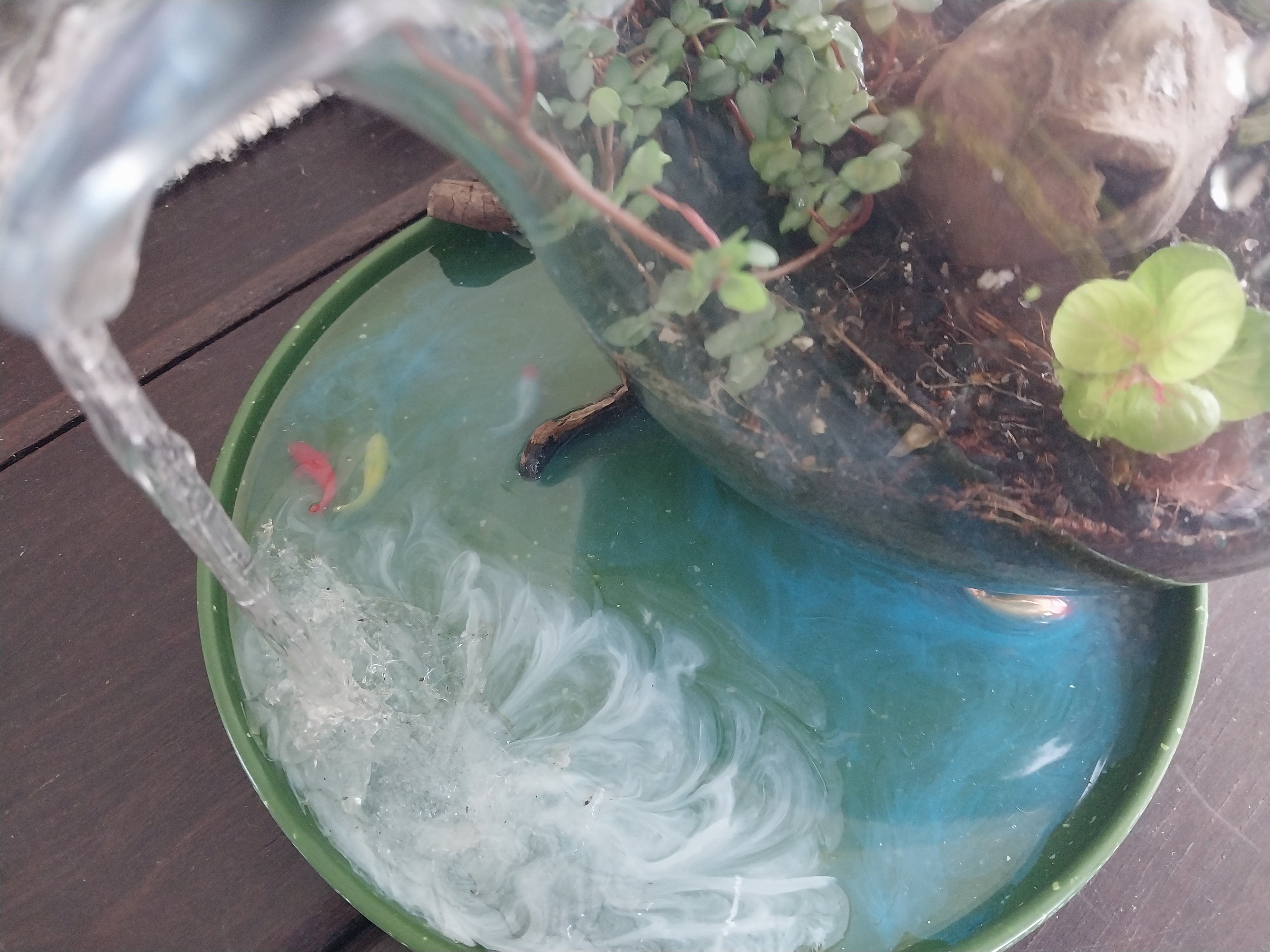 Glass Terrarium with Artistic Waterfall Design