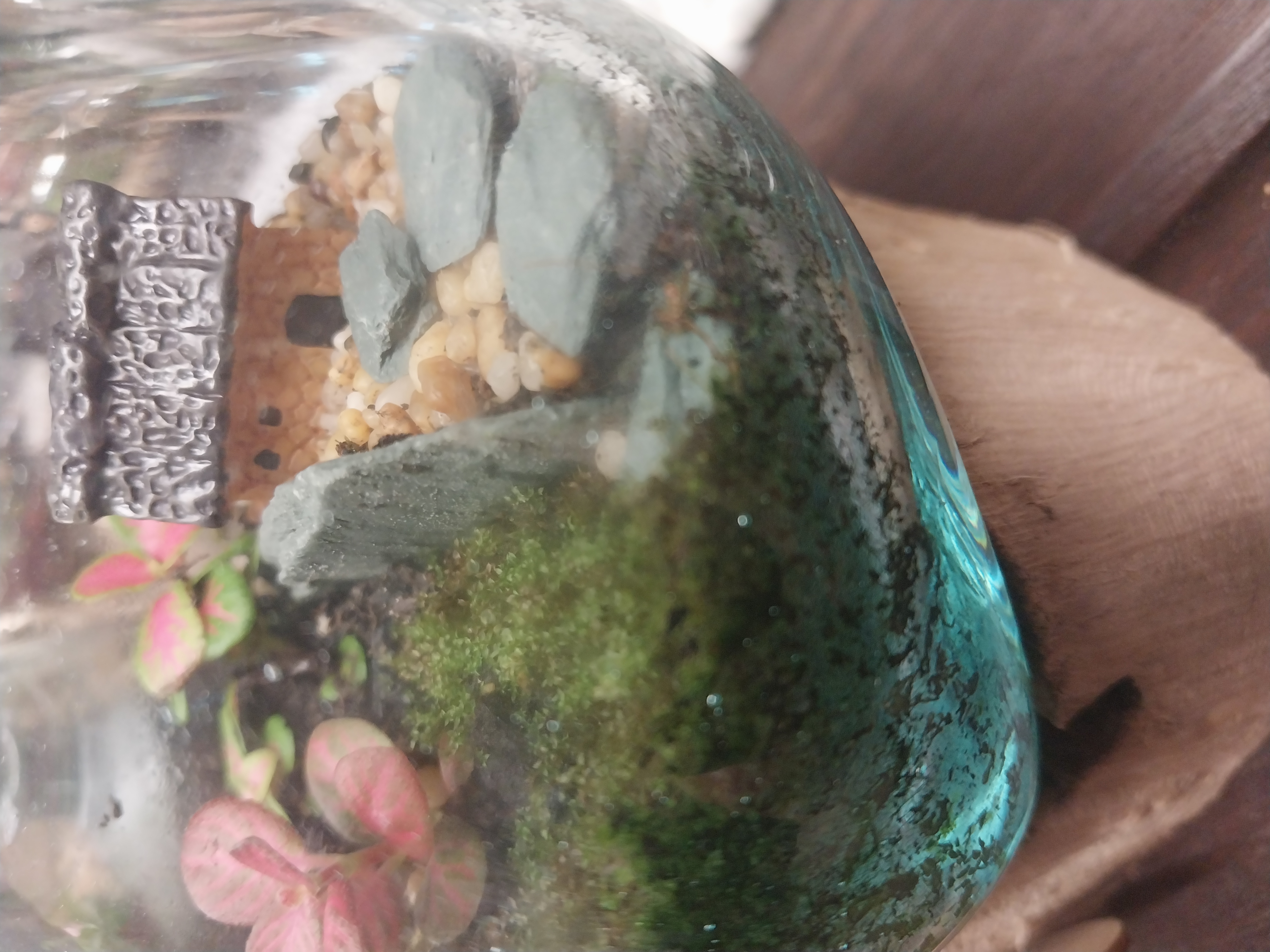 Miniature Zen Garden Terrarium