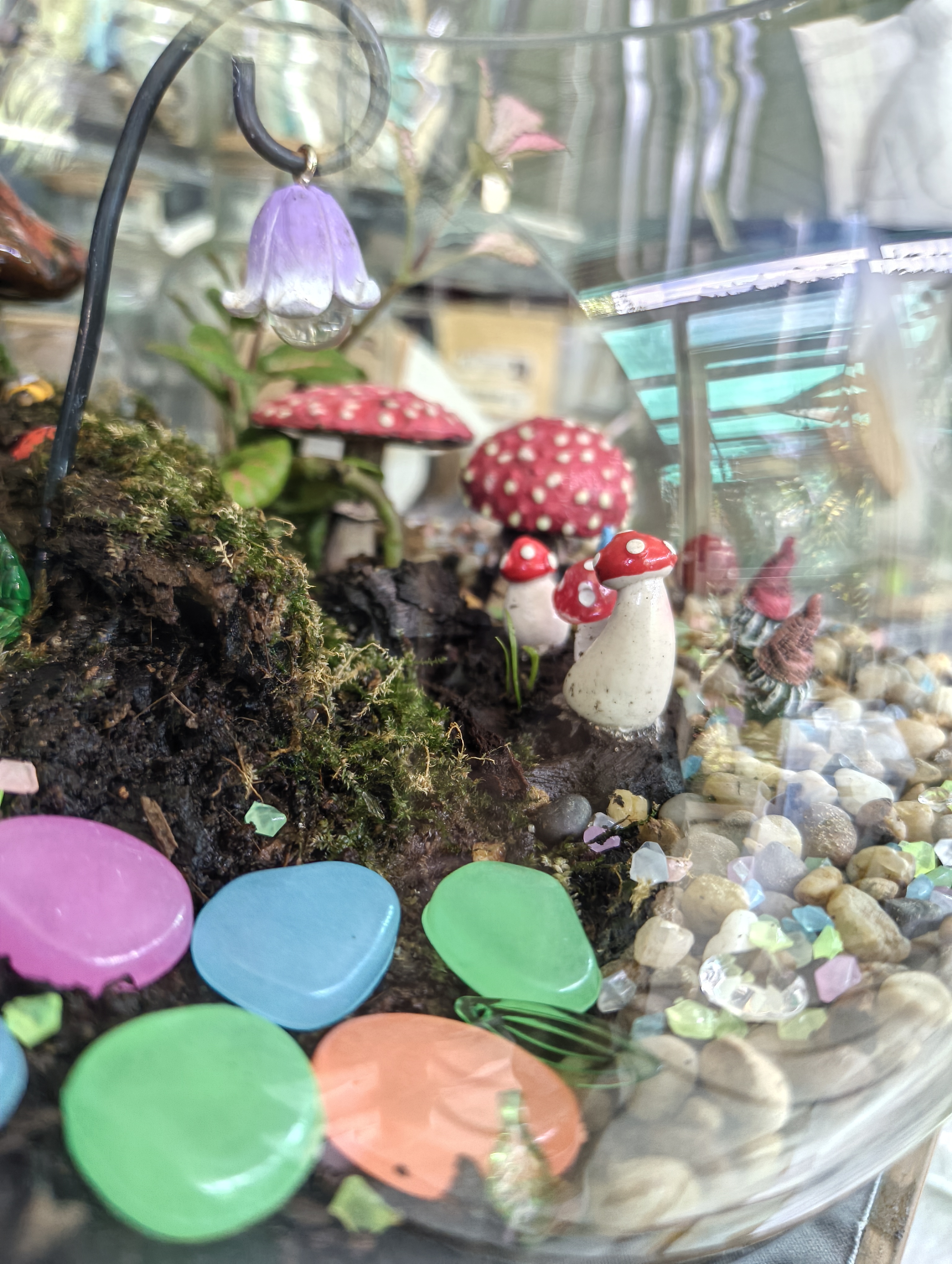 Mushroom Magic