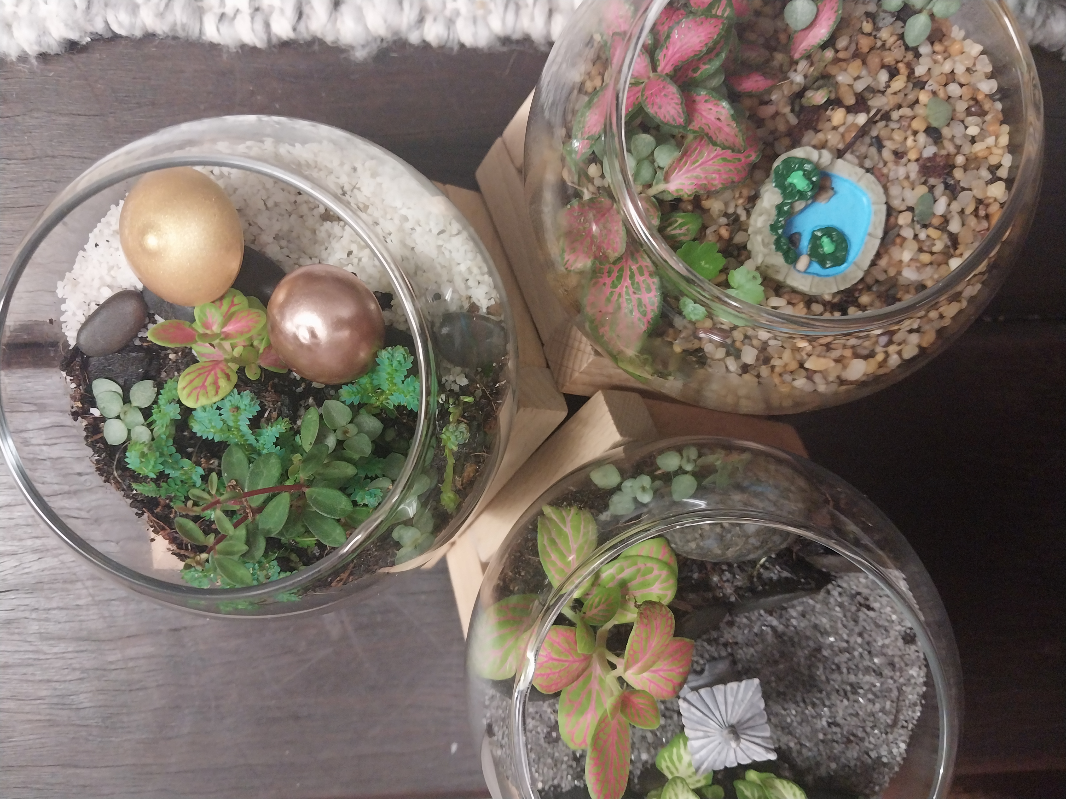 Miniature round terrariums with wooden stands 