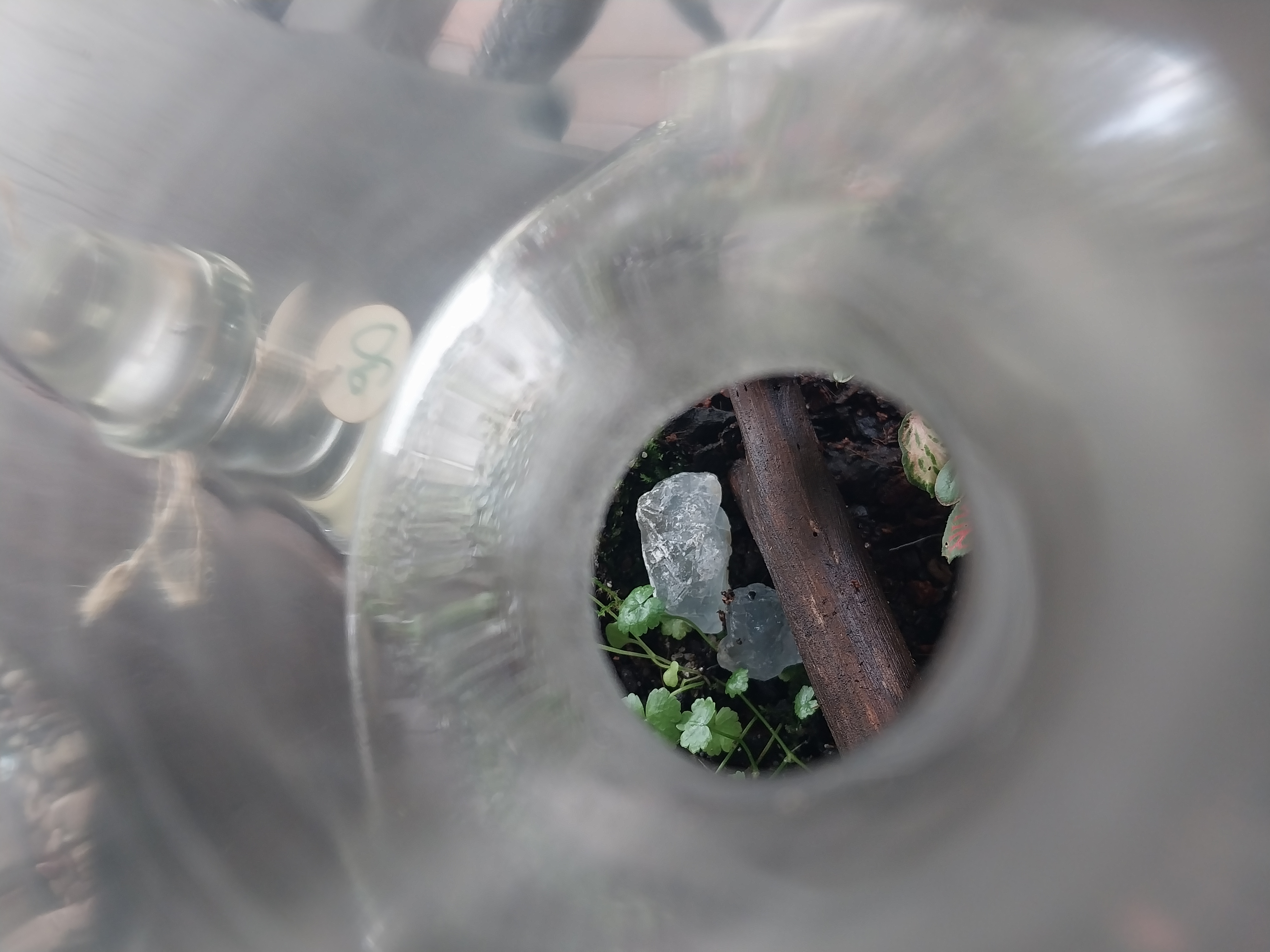 Crystal decanter terrarium with semi precious rocks 