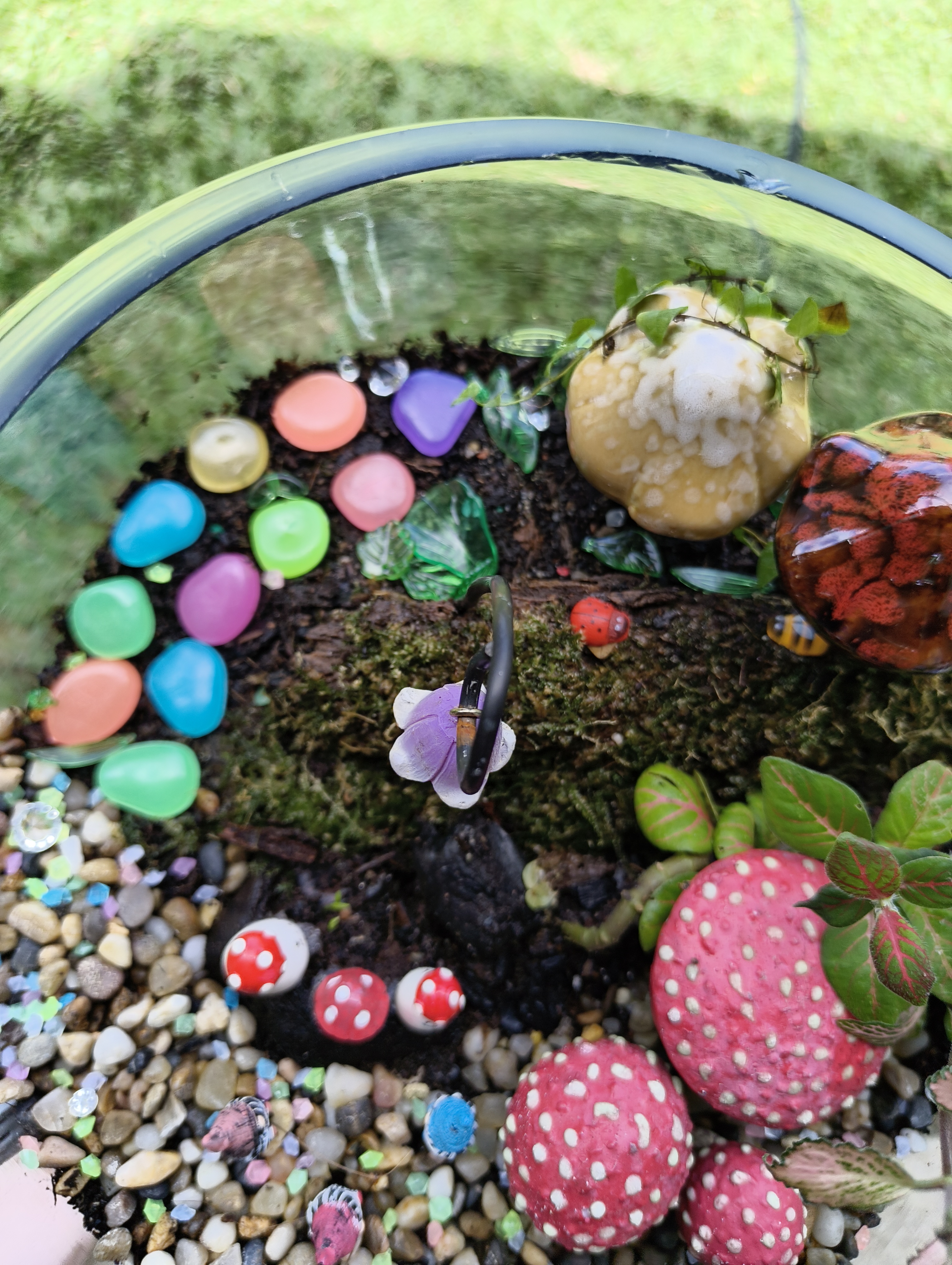 Mushroom Magic