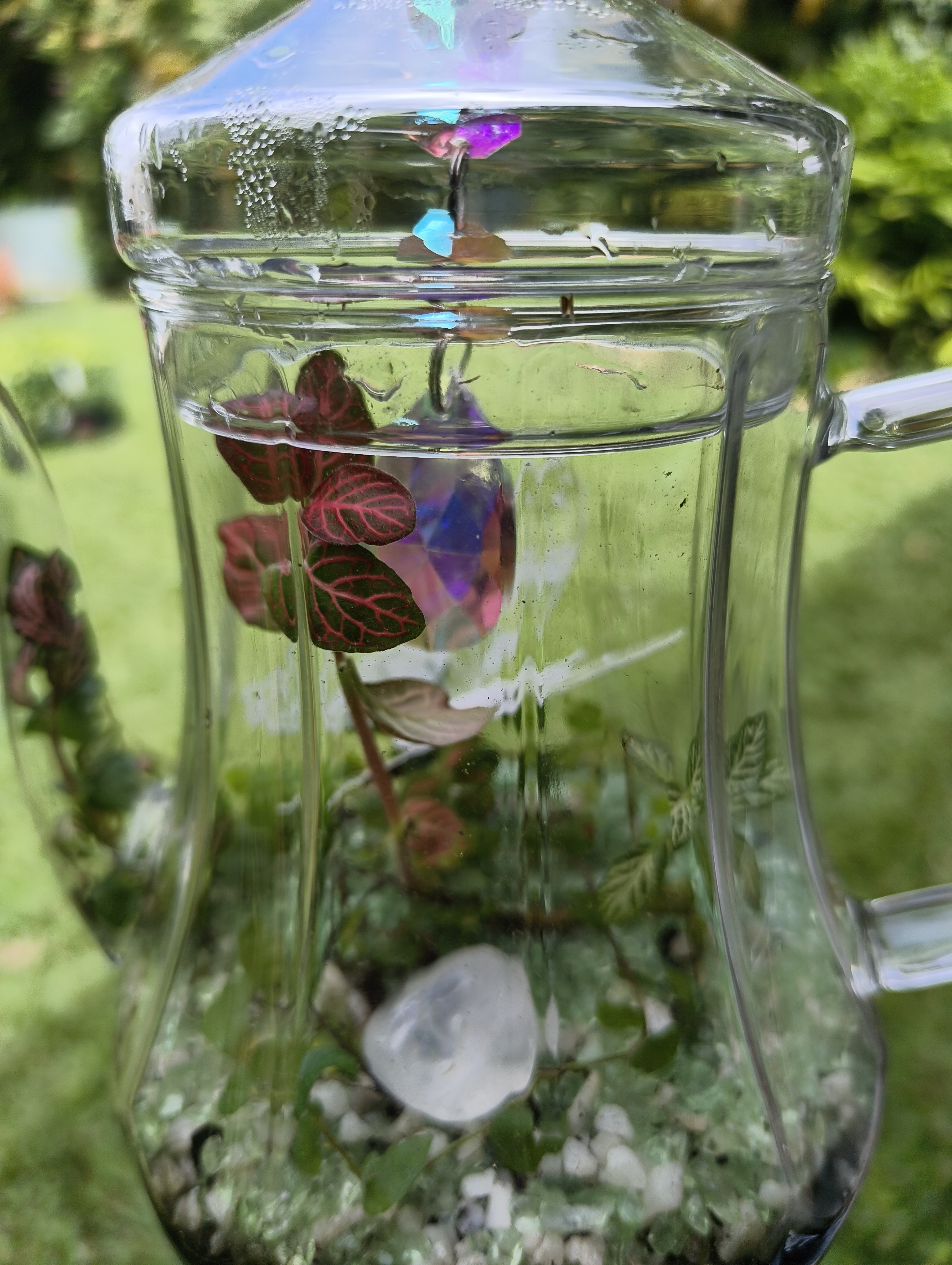 The Butterfly Charm