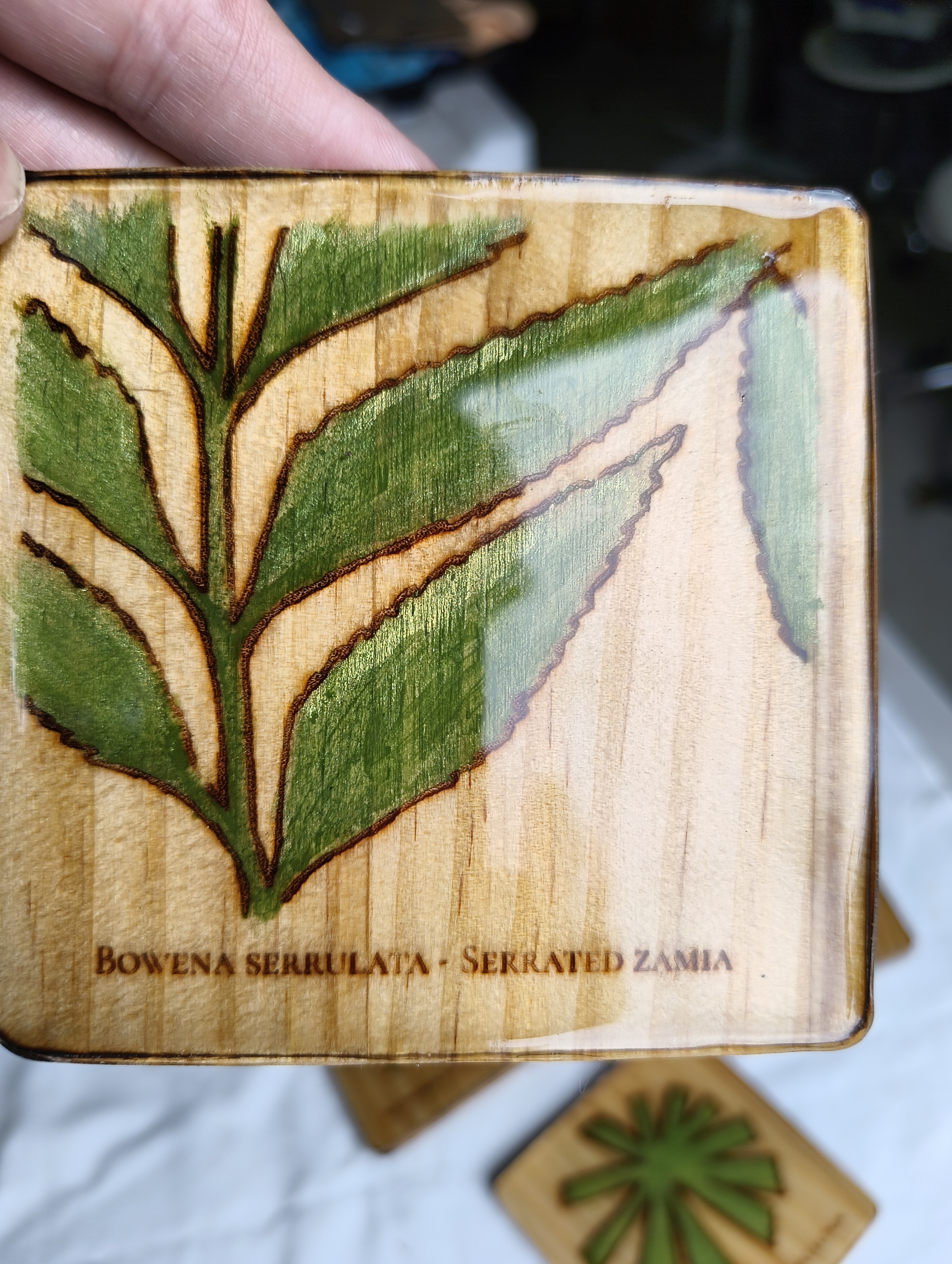 FNQ Endemic Plant Coaster Series