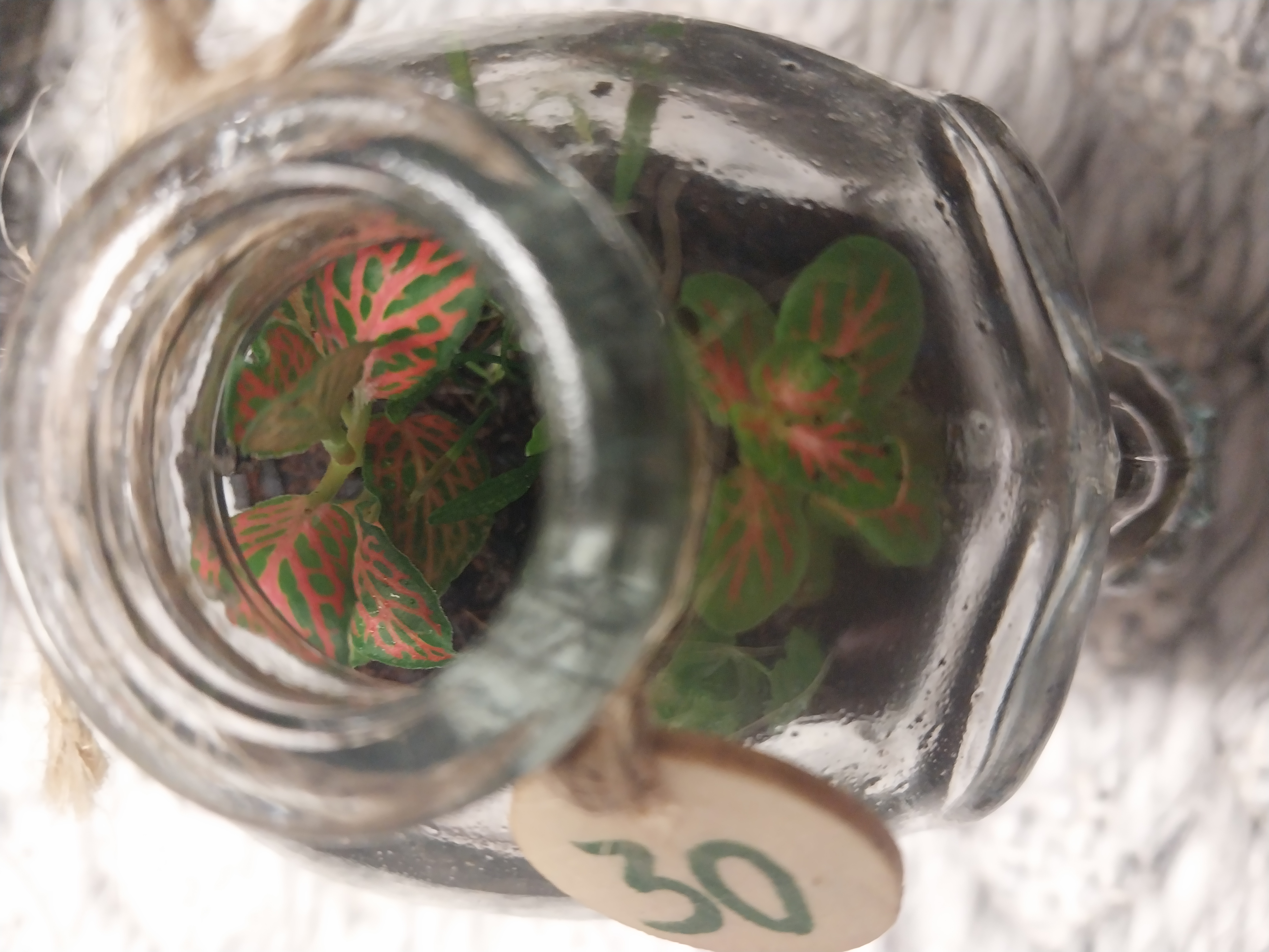 Skull Shaped Glass Bottle