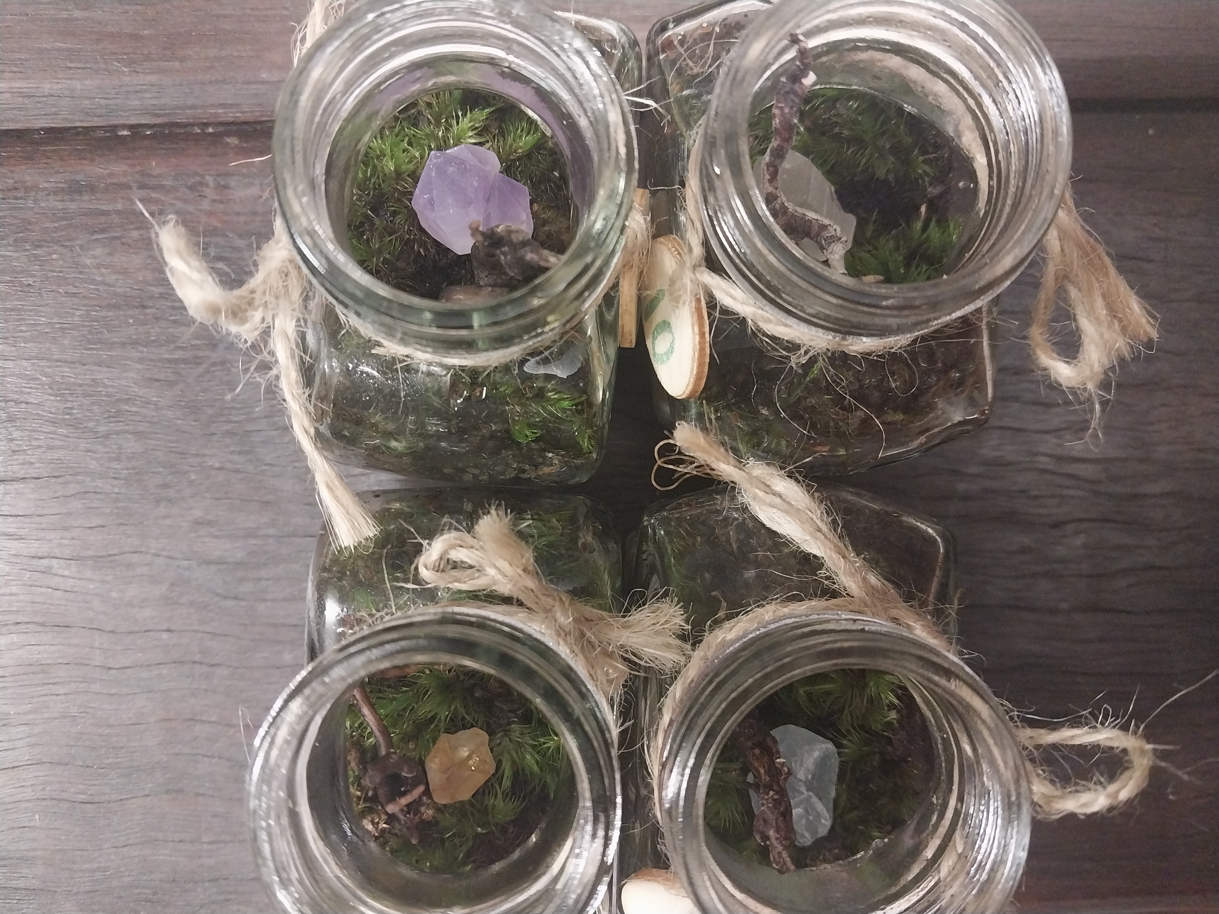 Micro Terrariums 