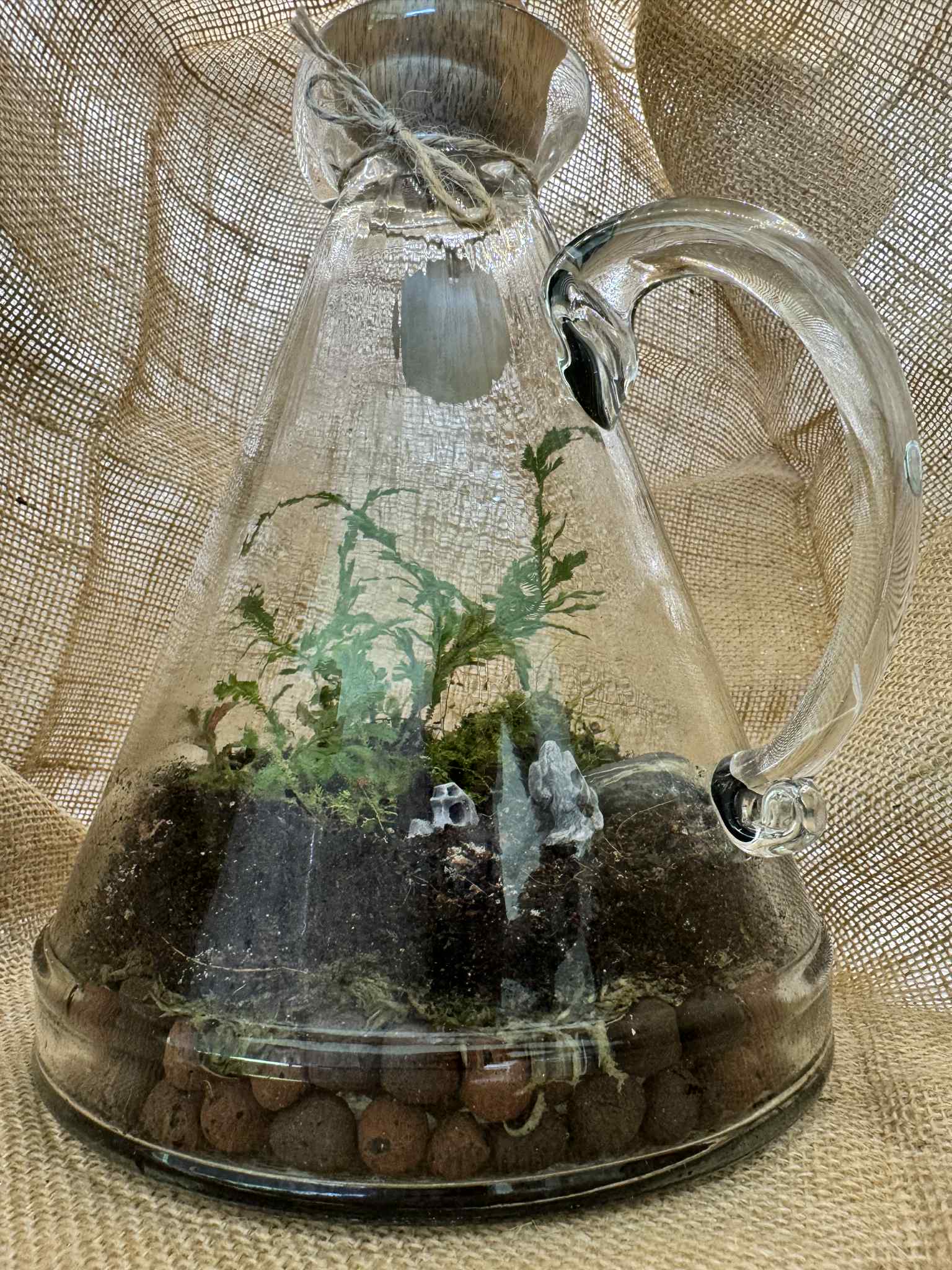 designer water jug terrarium 